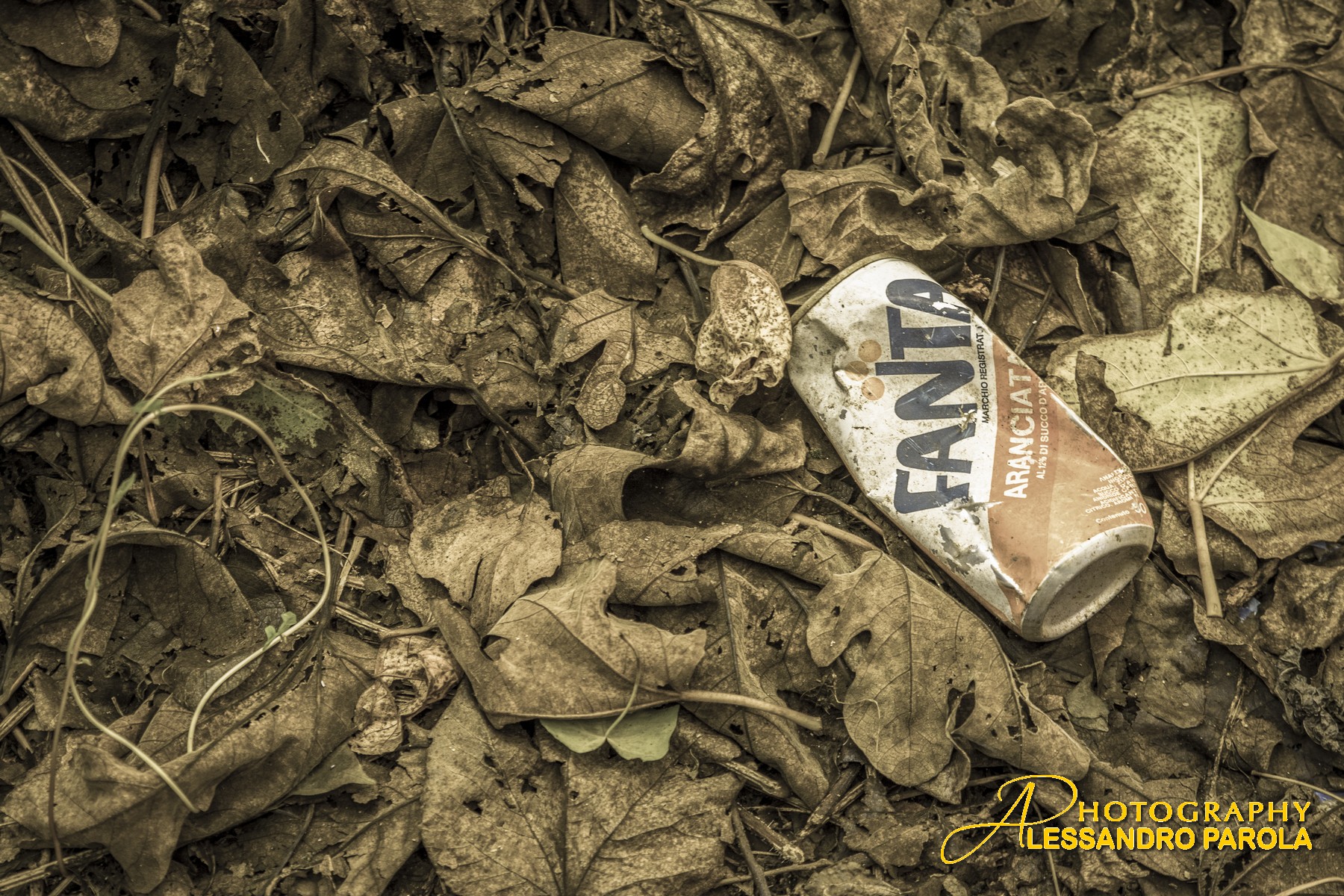 Archaeological finding