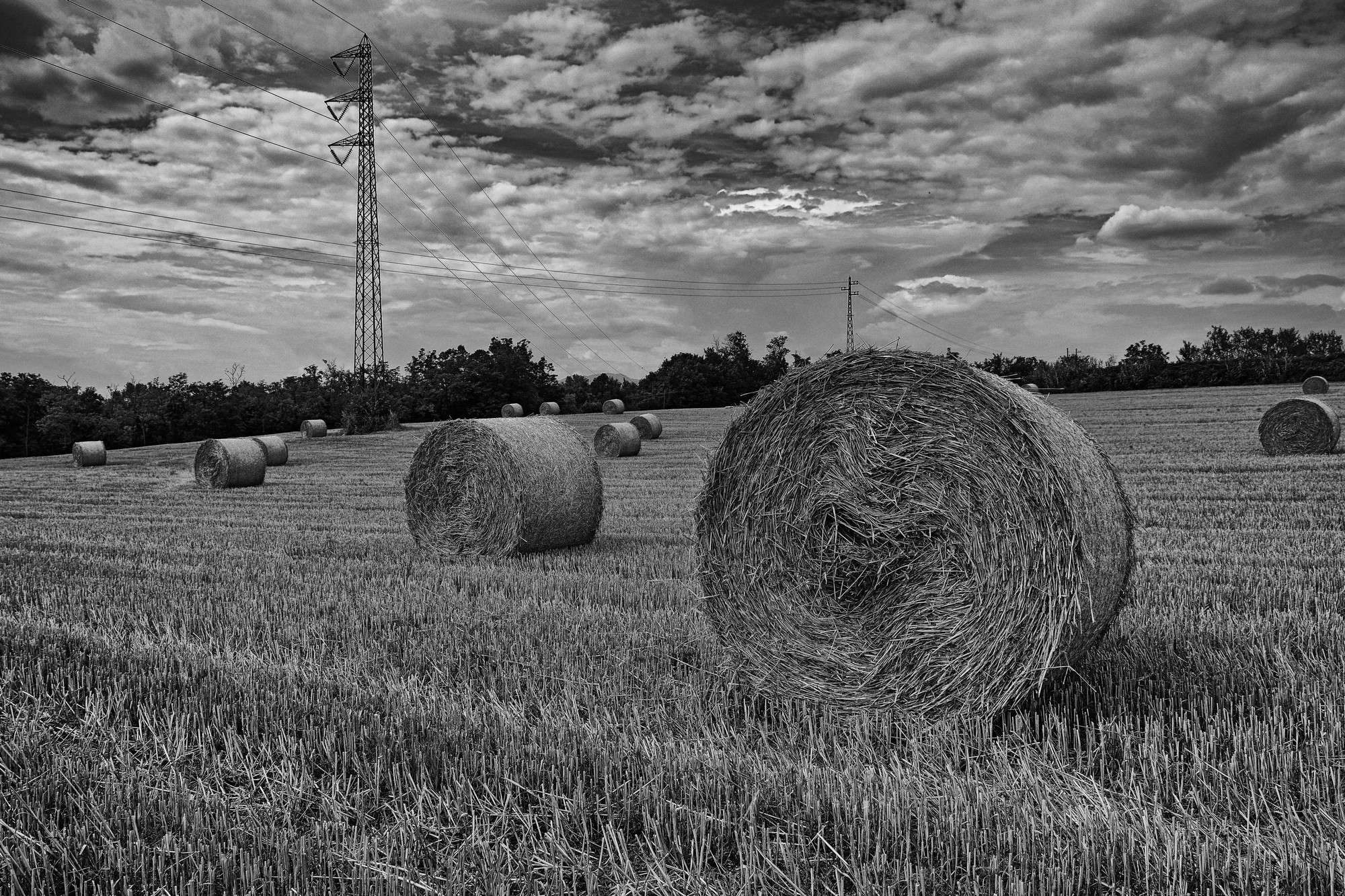 Estate in Bianco e Nero