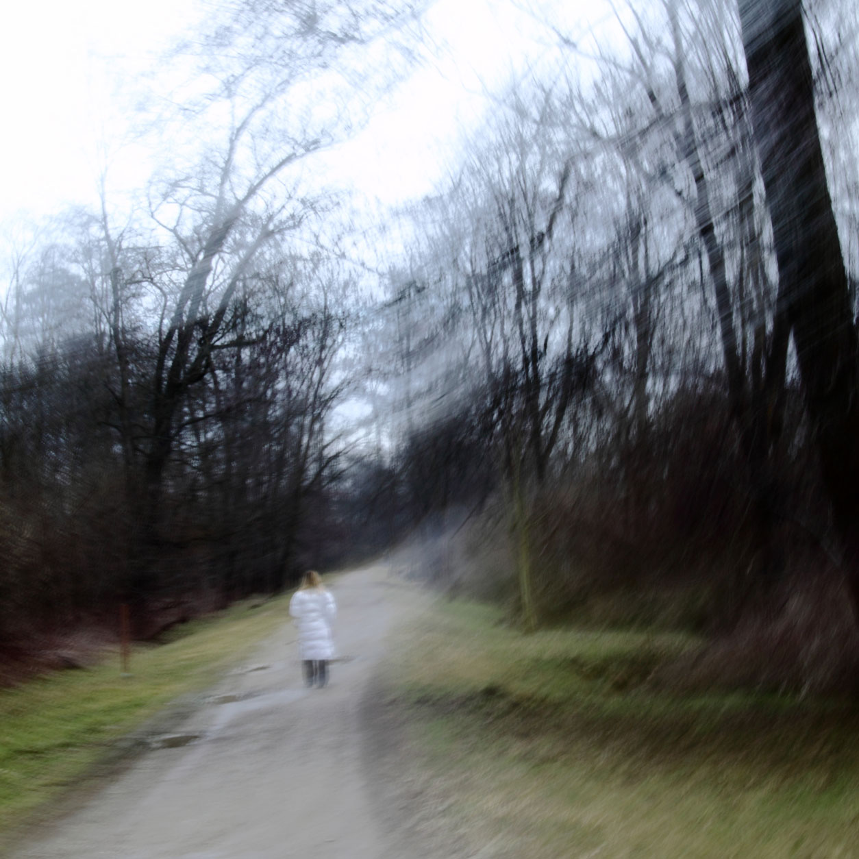 verso l'inverno.......