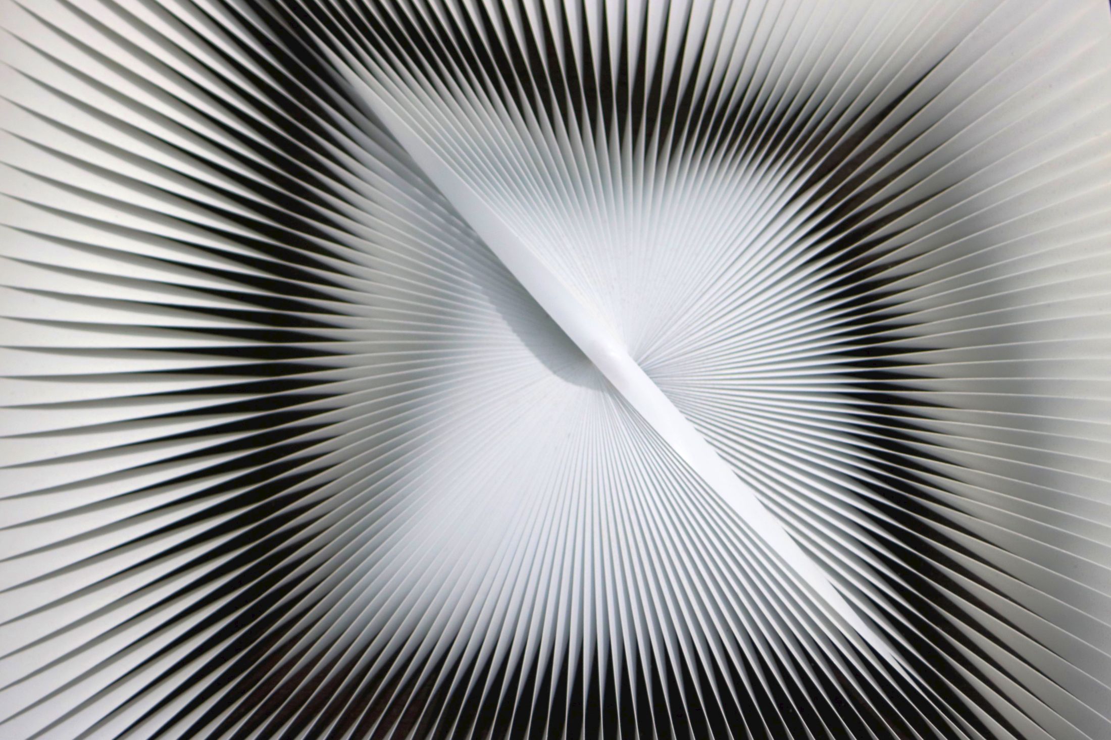 The Mysteries of the mind