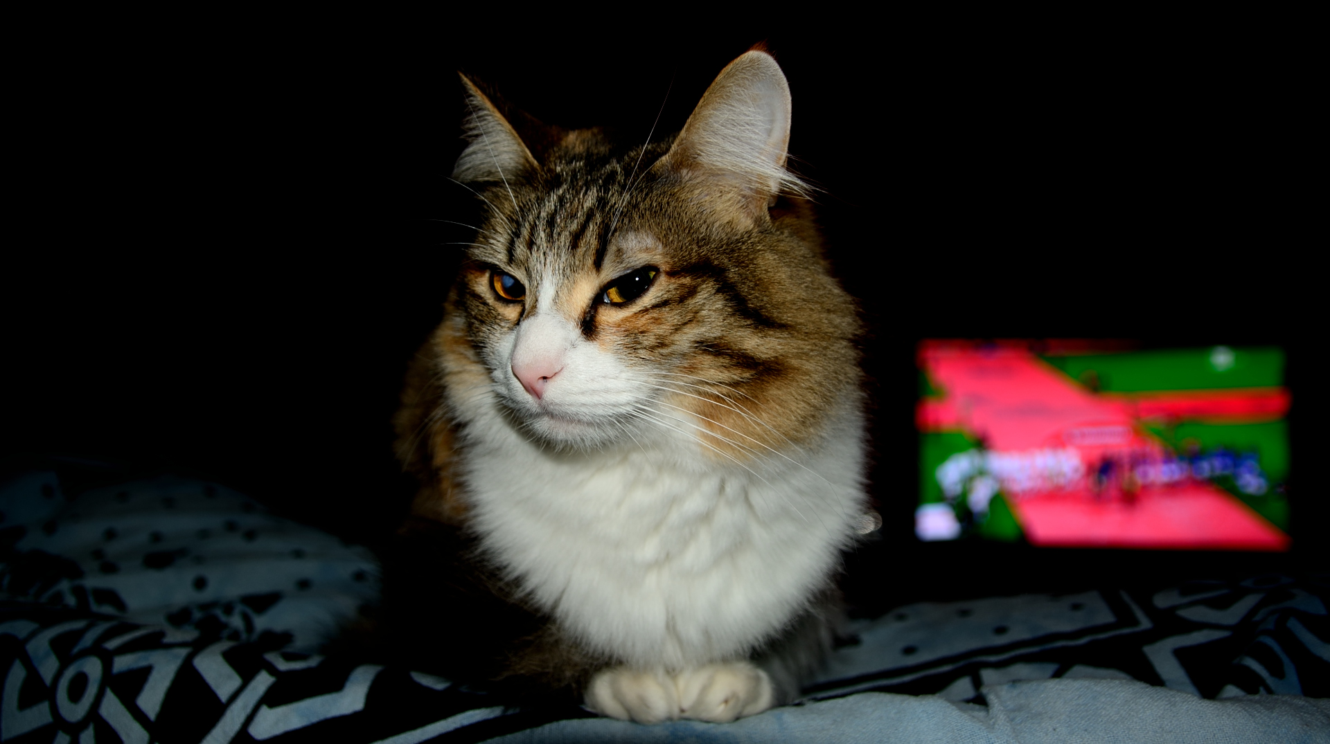 Tris makes the indifferent....