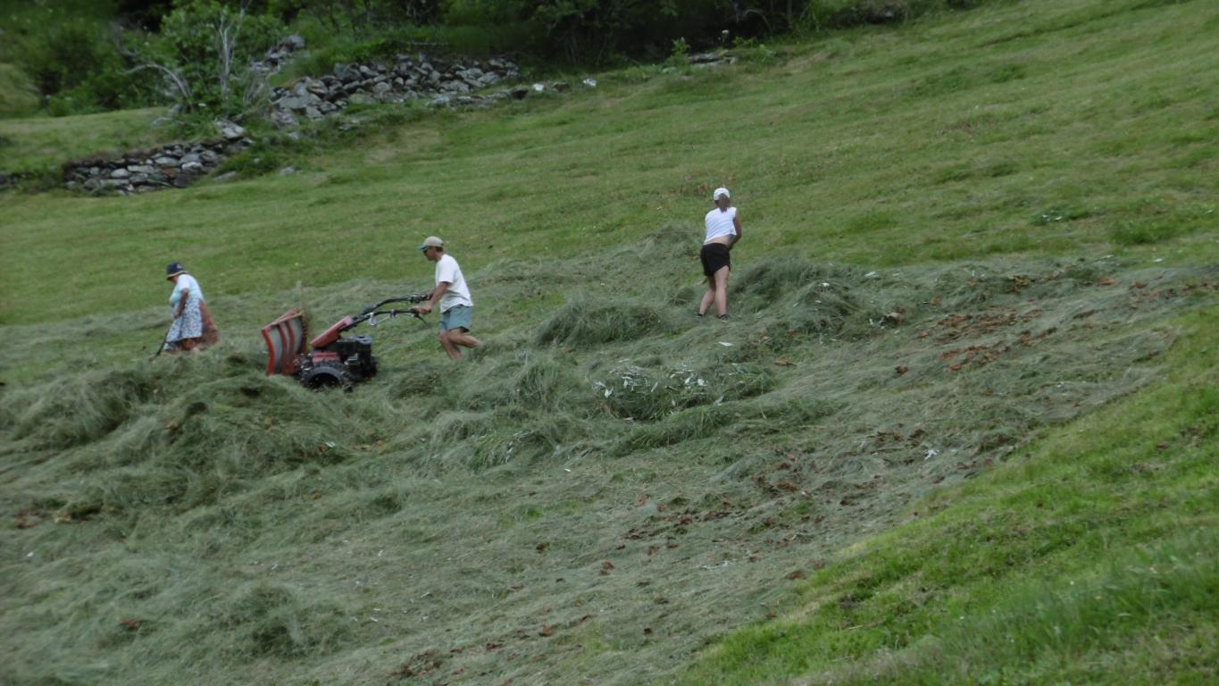 Fienagione a Valdurna