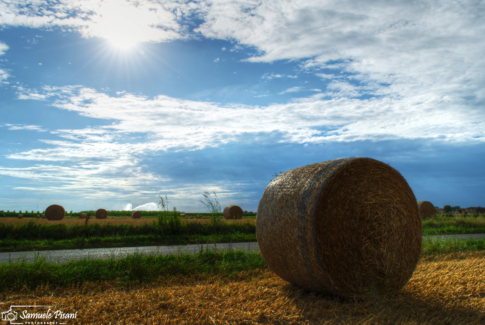 And the bales are watching