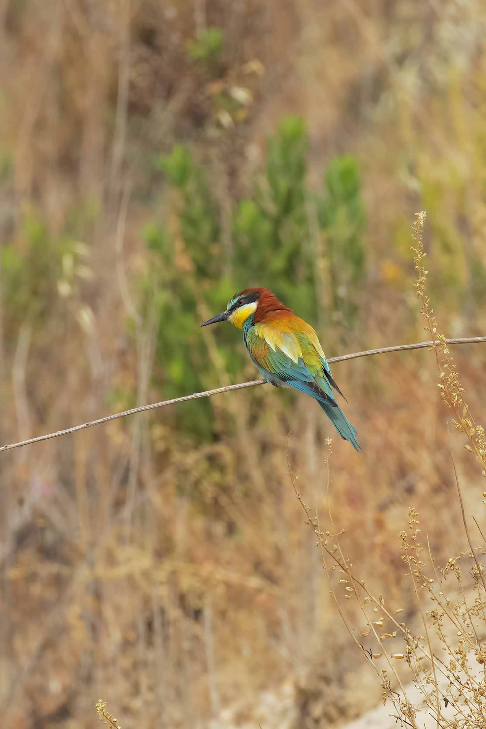 Where did you end up?