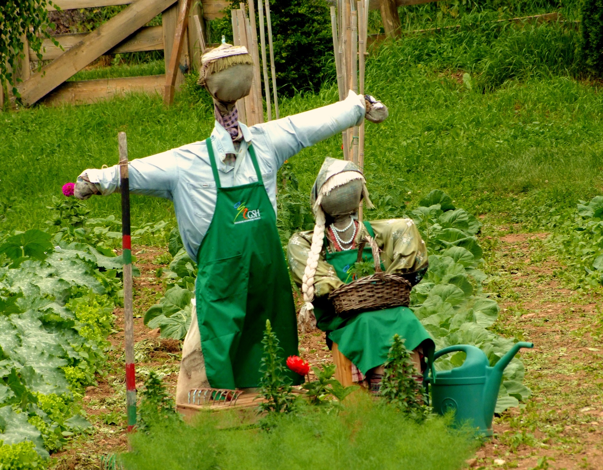Spaventapasseri e signora