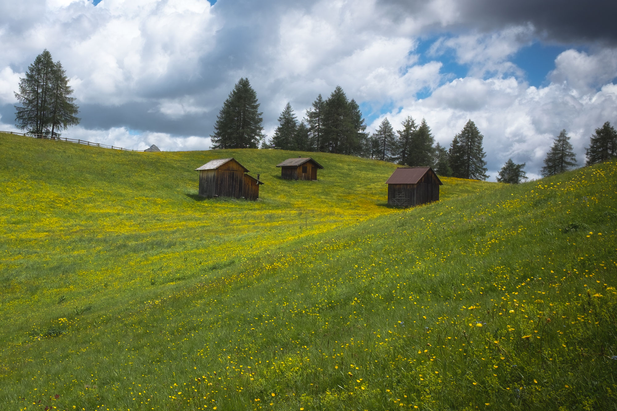 Meadows of Red Croda