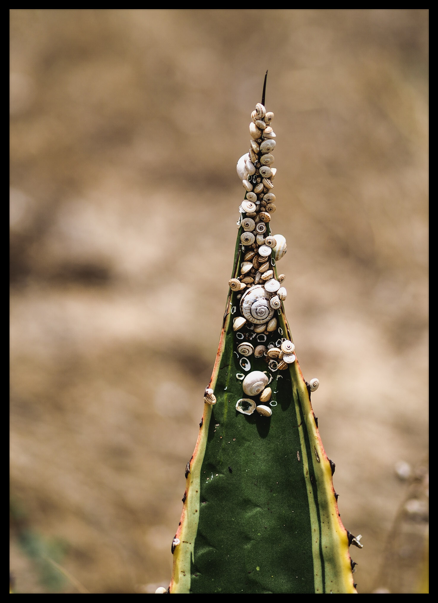 Riunione di Condominio