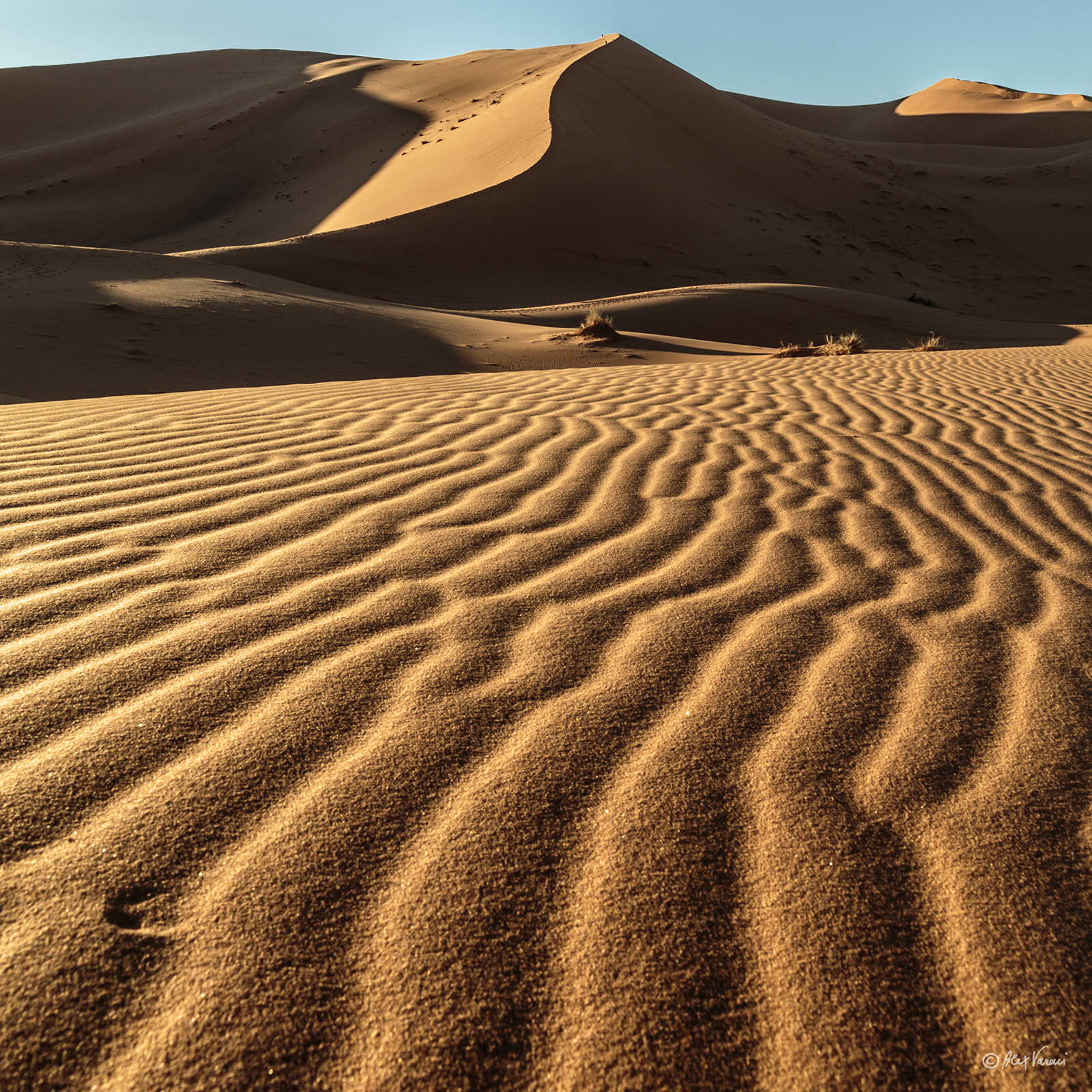 Le dune di Erg Chebbi
