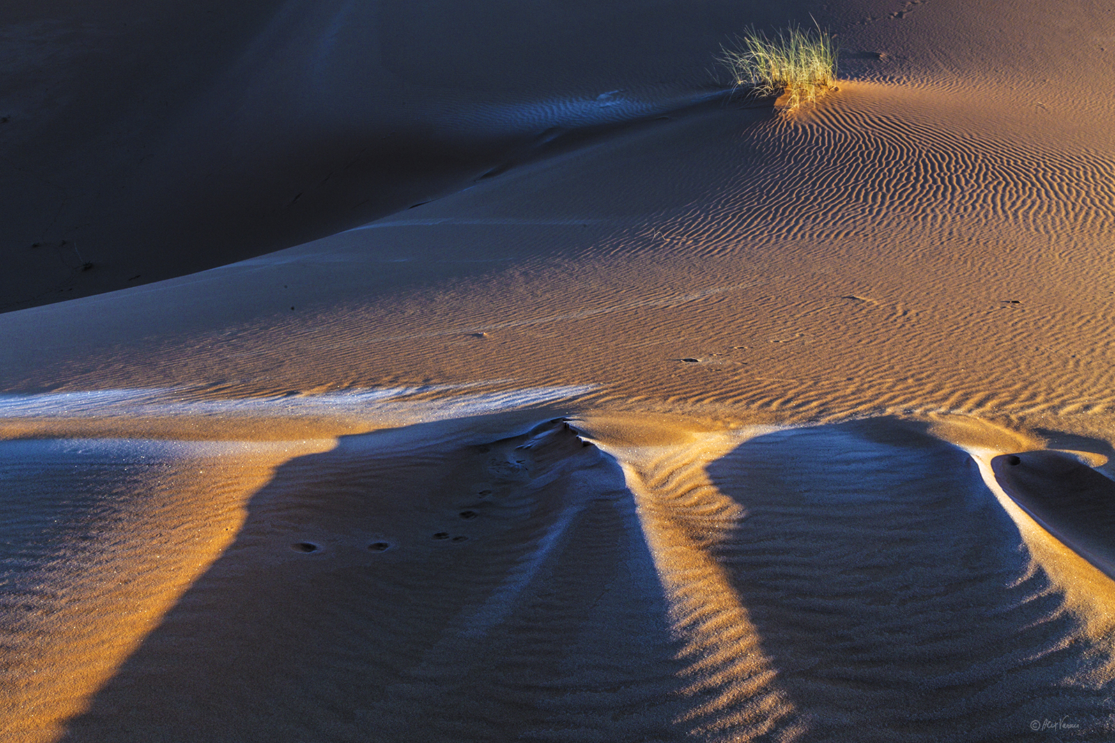 Early morning in the desert
