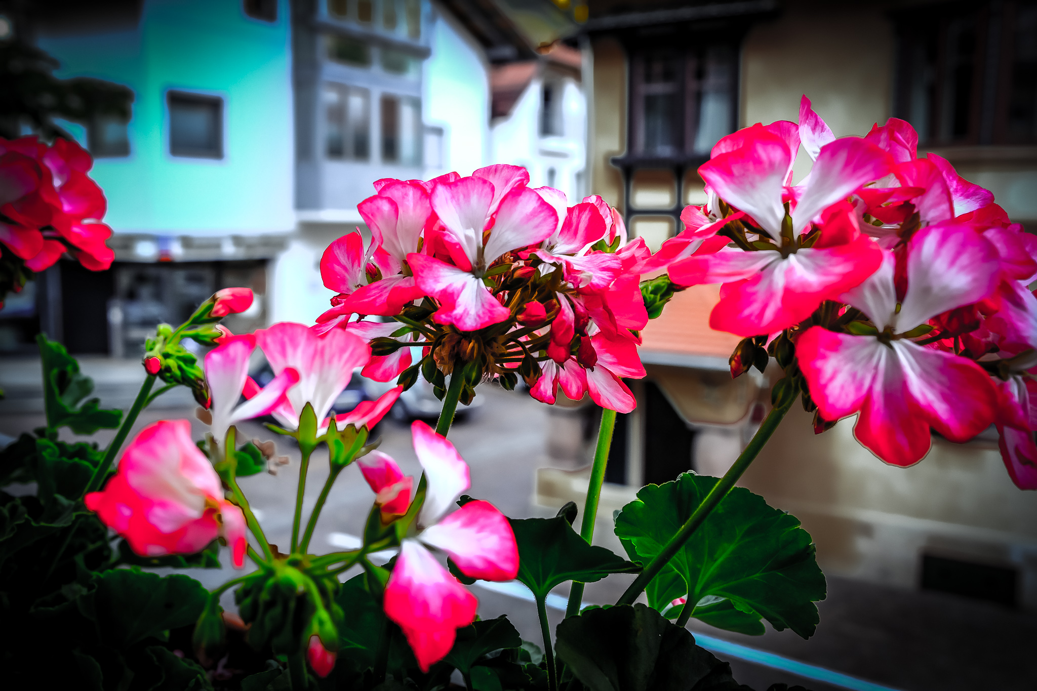 Balcony in the square