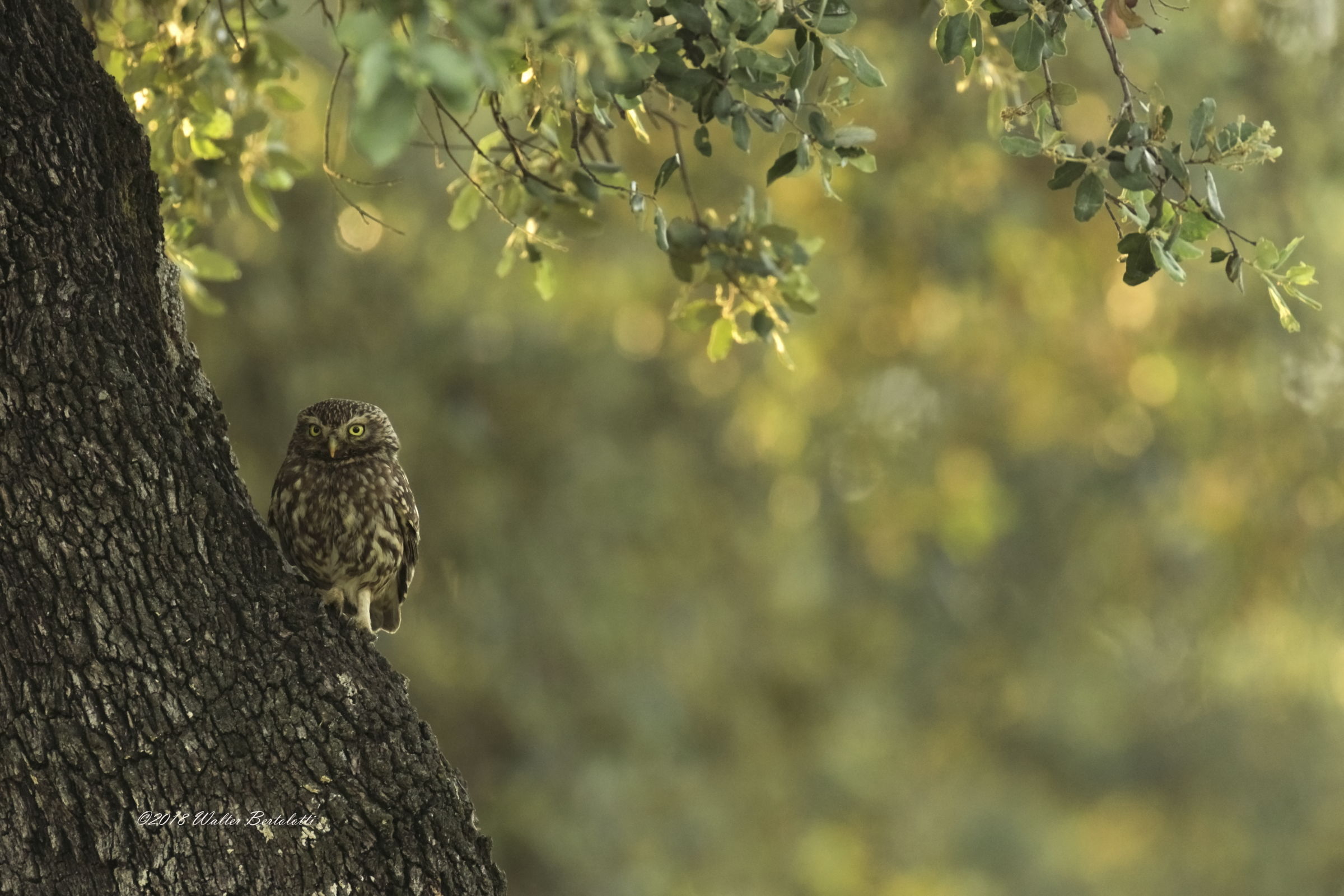 And I'm staying and watching