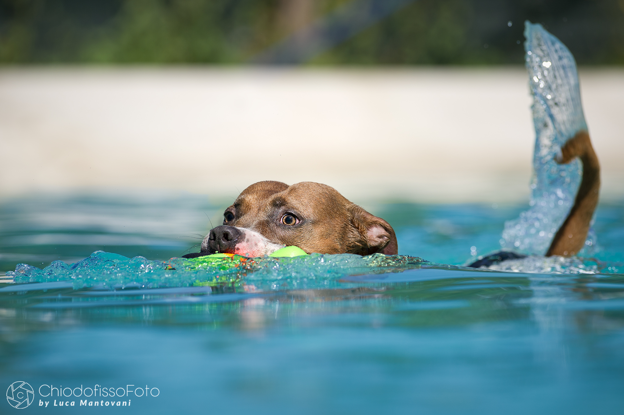 Giochi in e con l'acqua