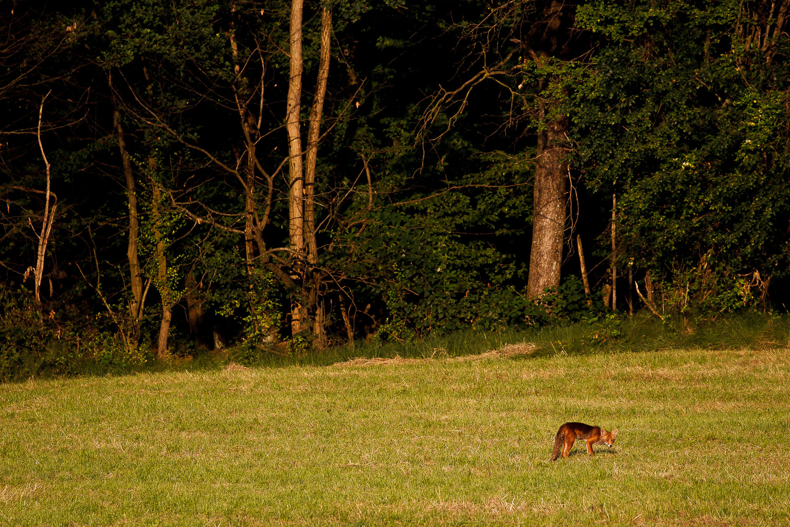 Una nuova vicina di casa...