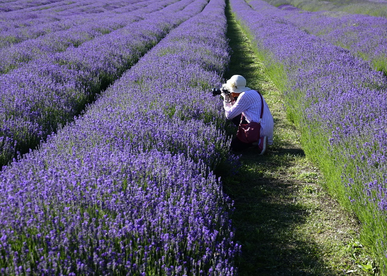 va bene, ho rifilato - grazie per il consiglio