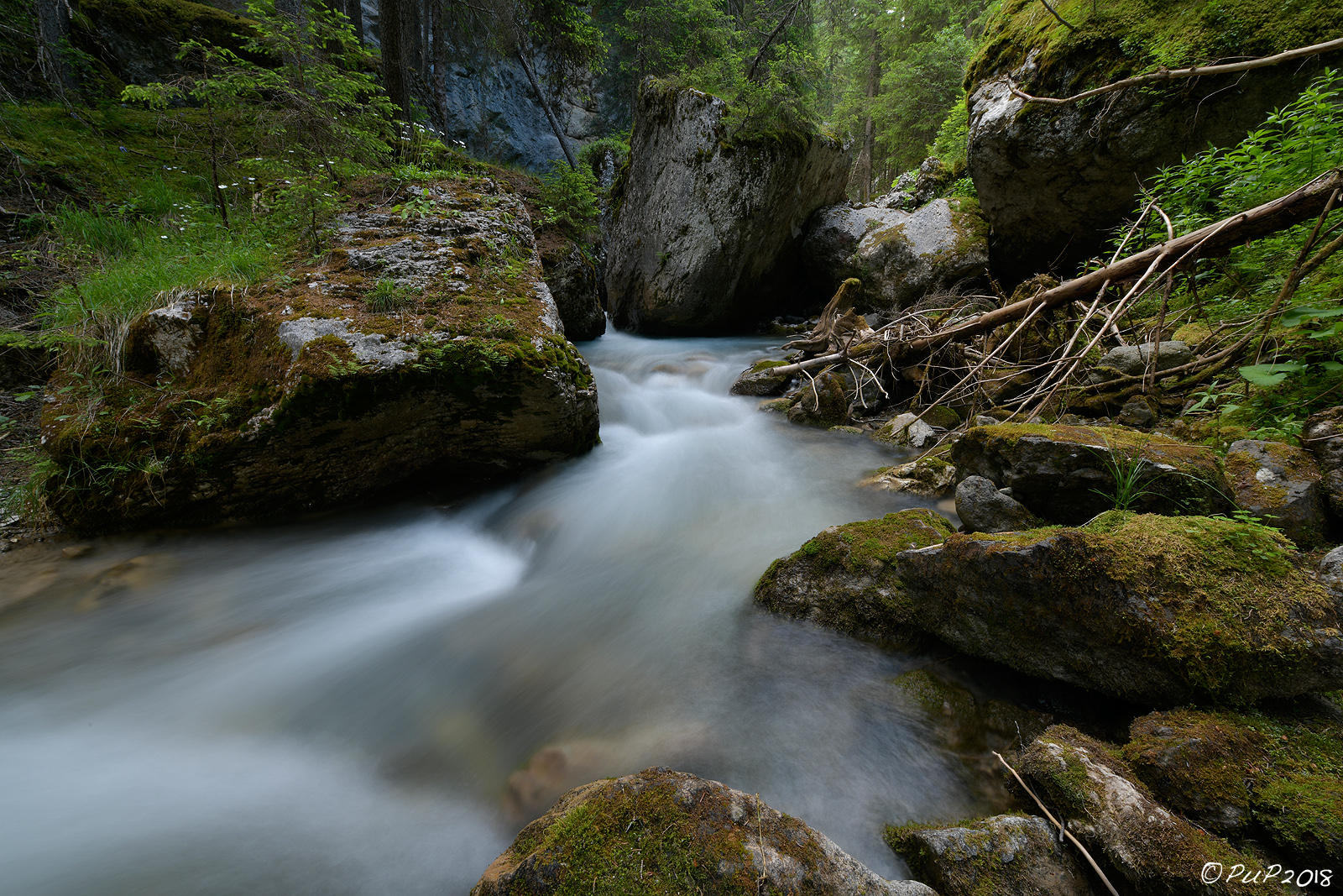 miliardesimo ruscello di montagna 3