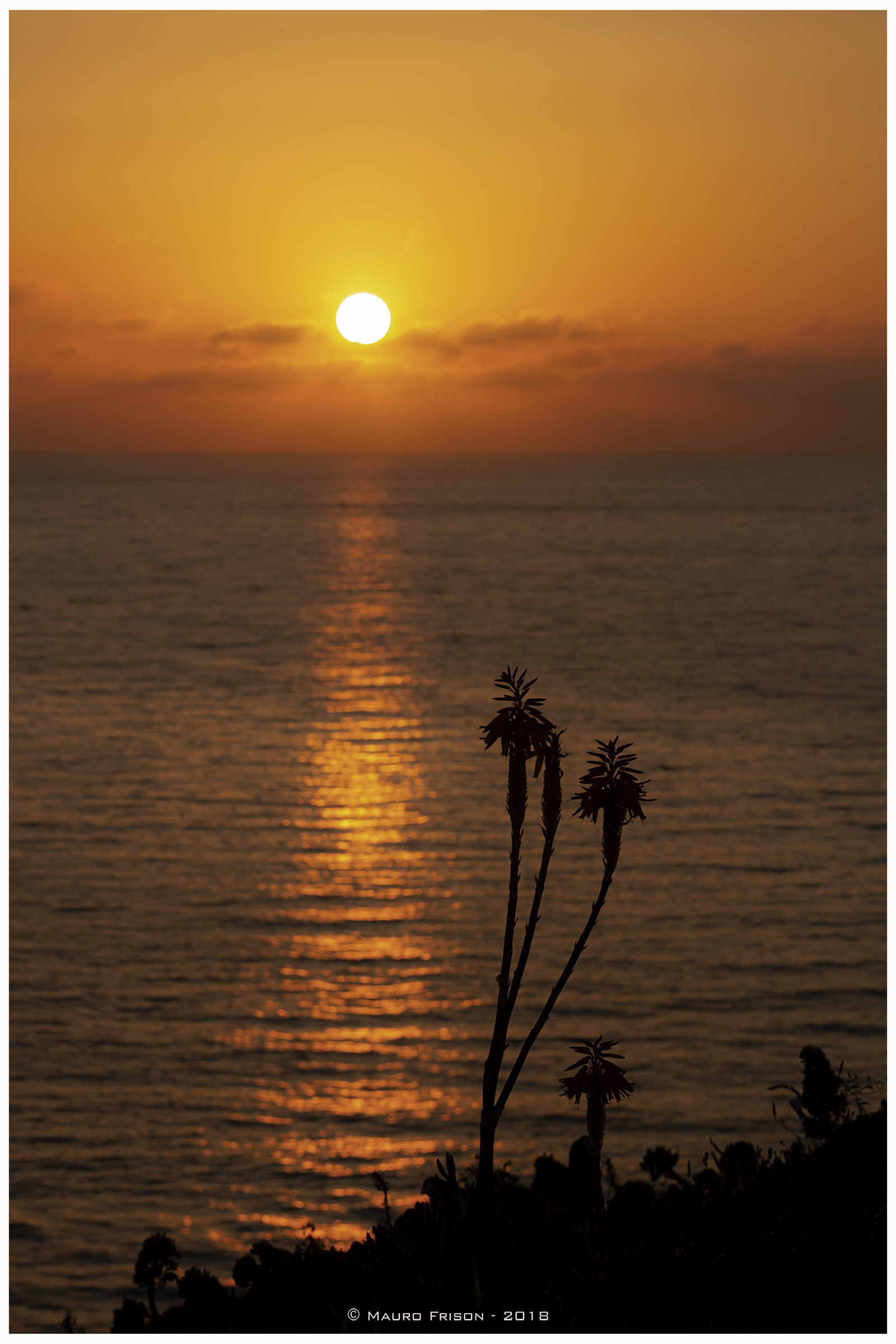 Subscribers, with Front row seat