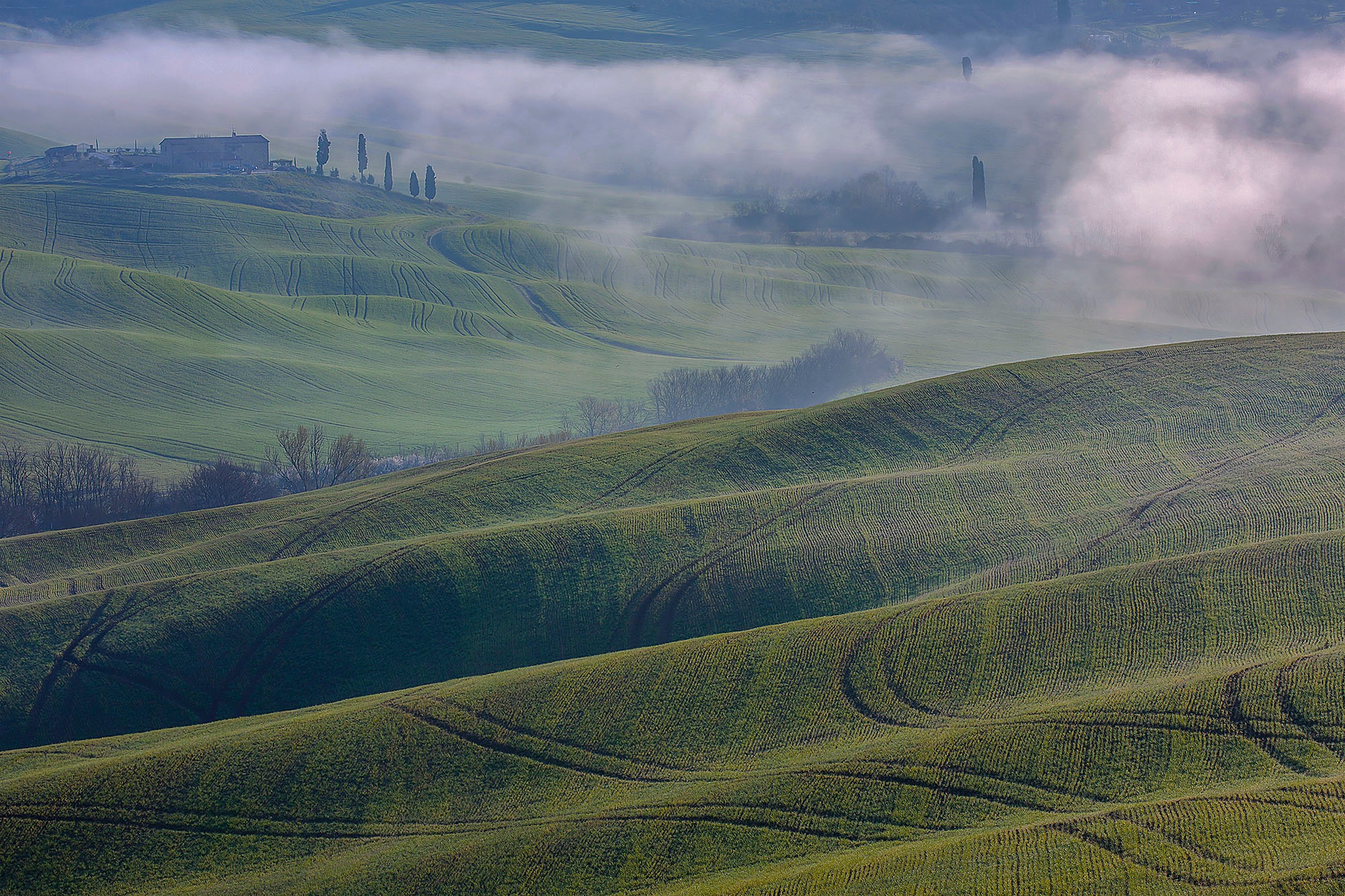 Hills of Siena