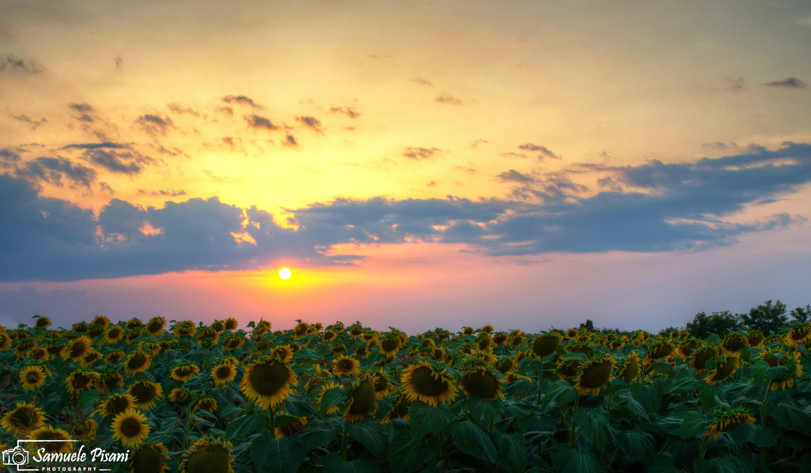 But shouldn't you be shot on the other side?