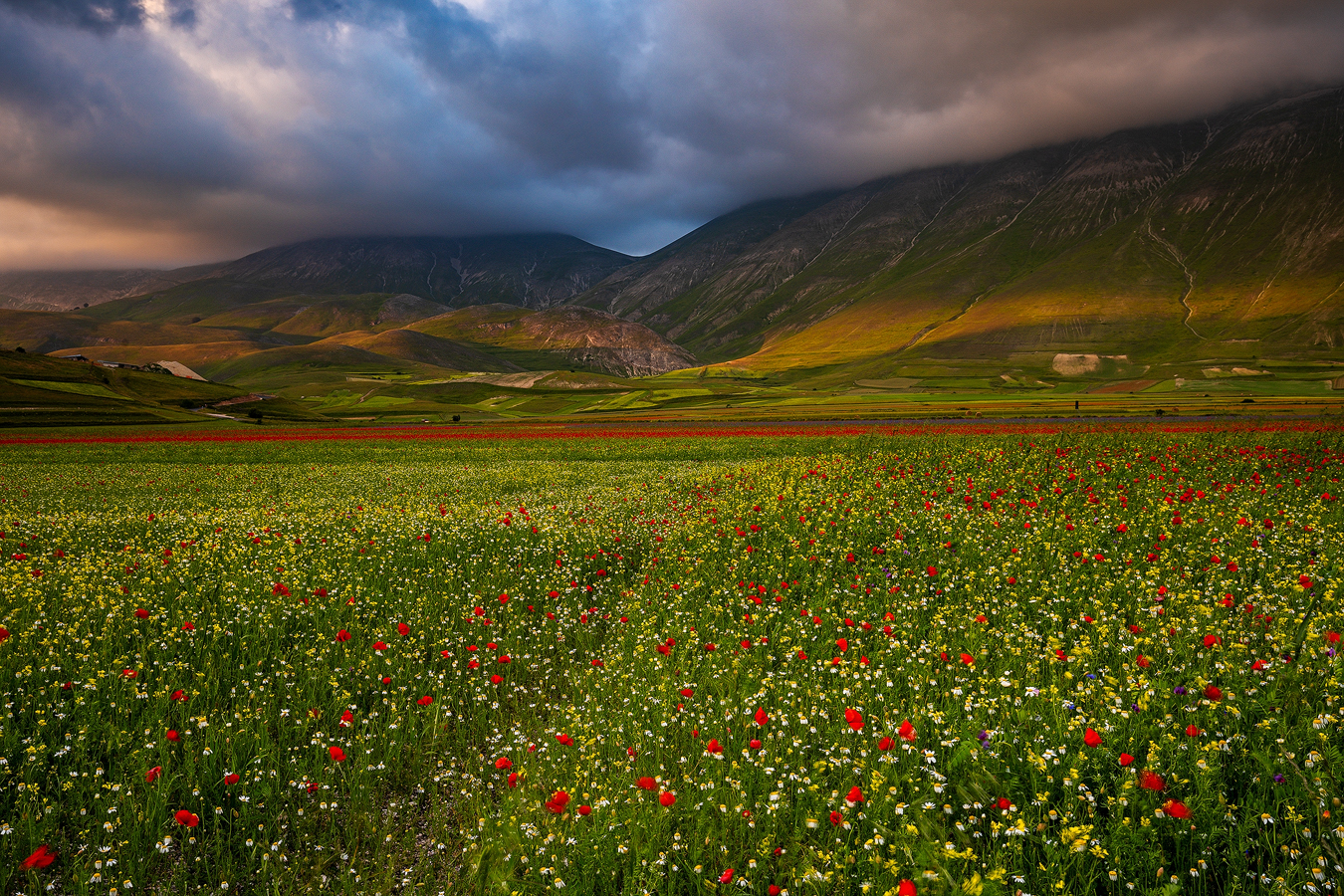 gardens in the mountains