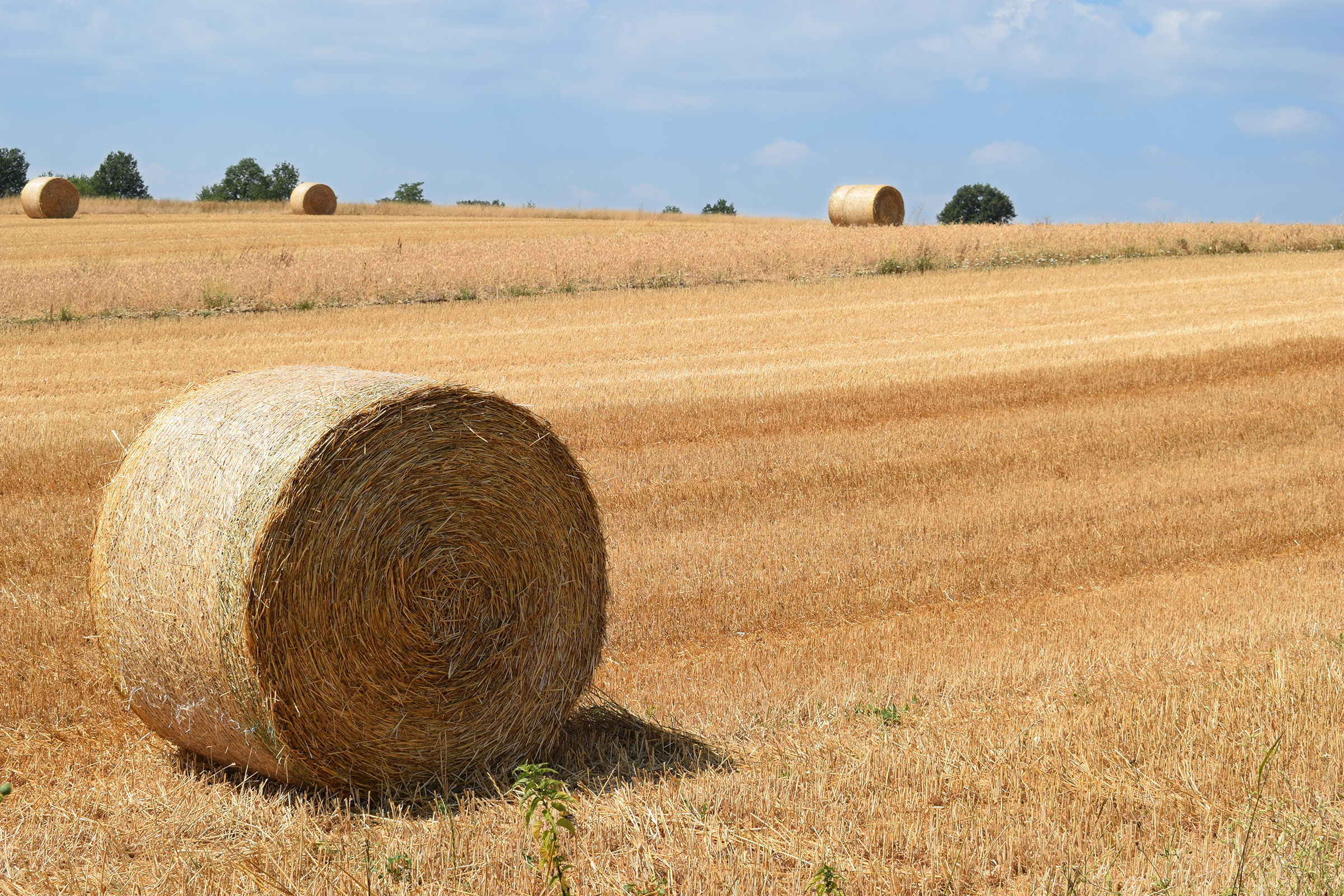 Un classico di questo periodo