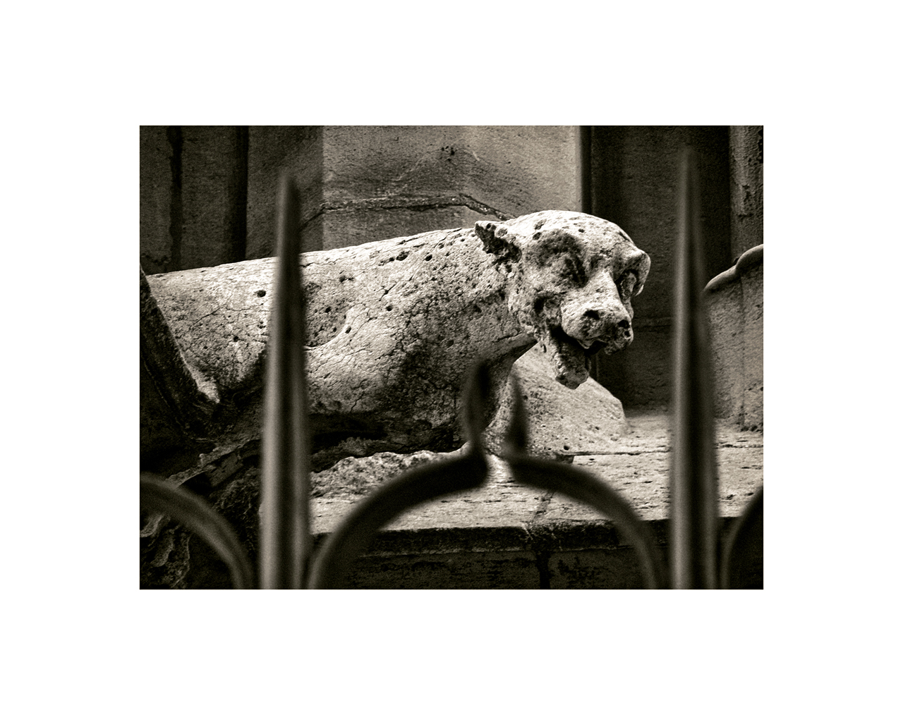 Guardiano di cattedrale