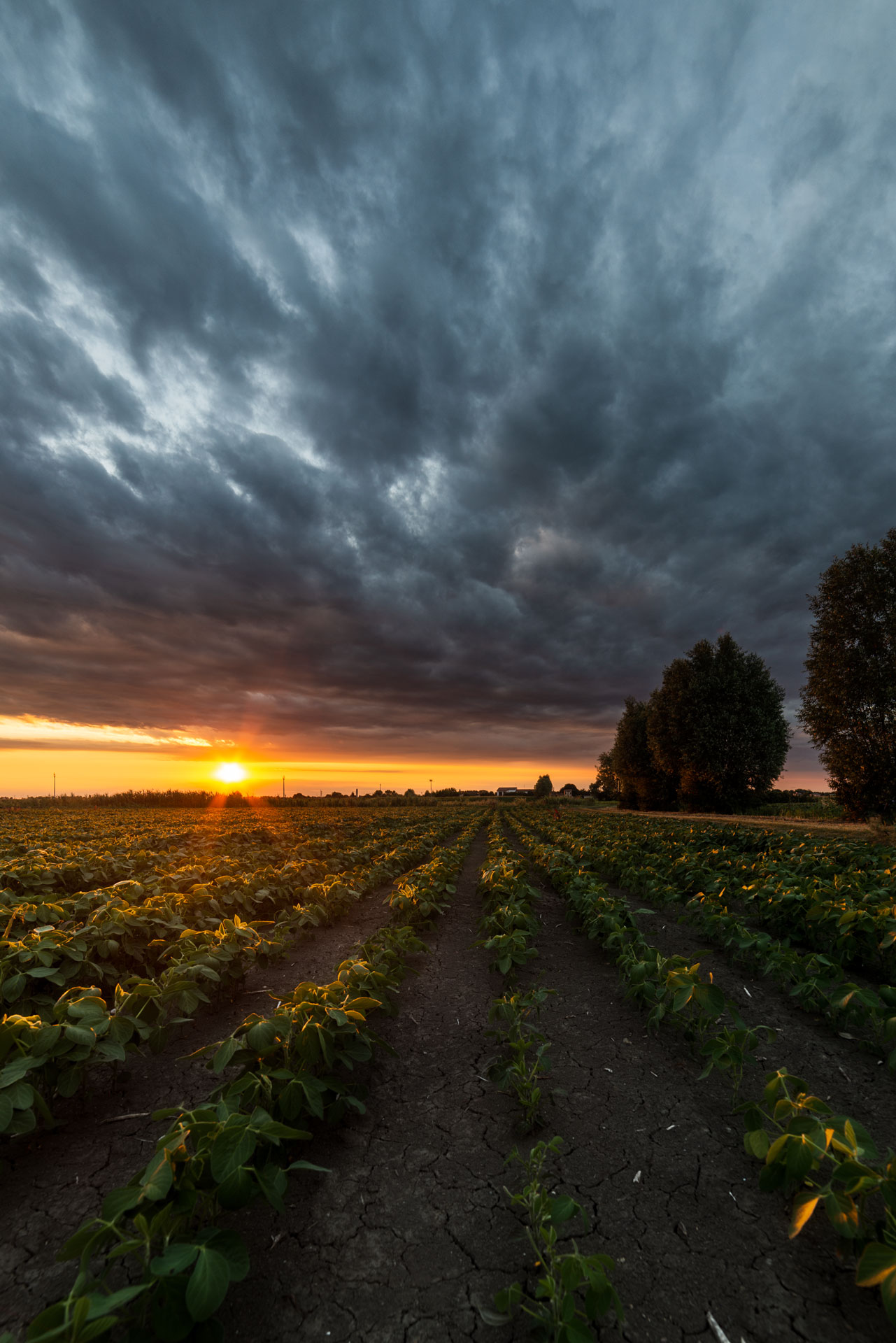 An early summer evening...