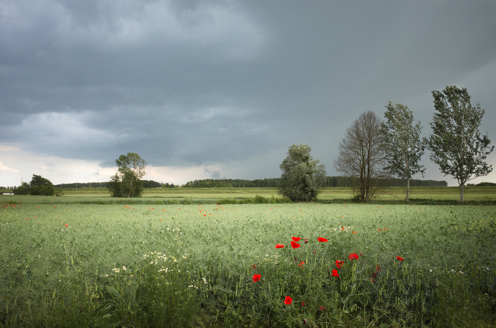 Thunderstorm coming up