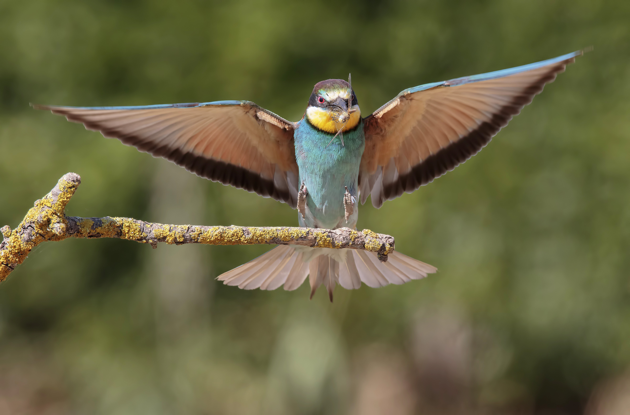 Atterraggio perfetto