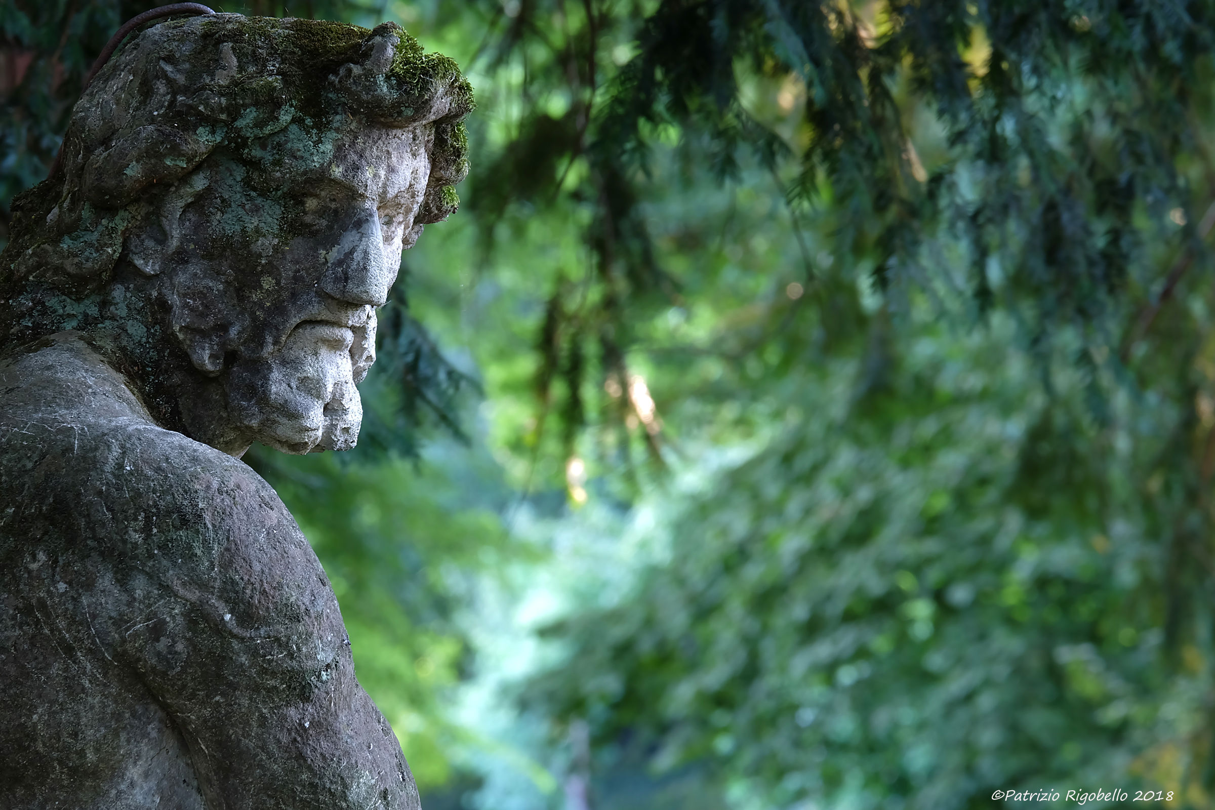 In the green of Ca ' Dolfin