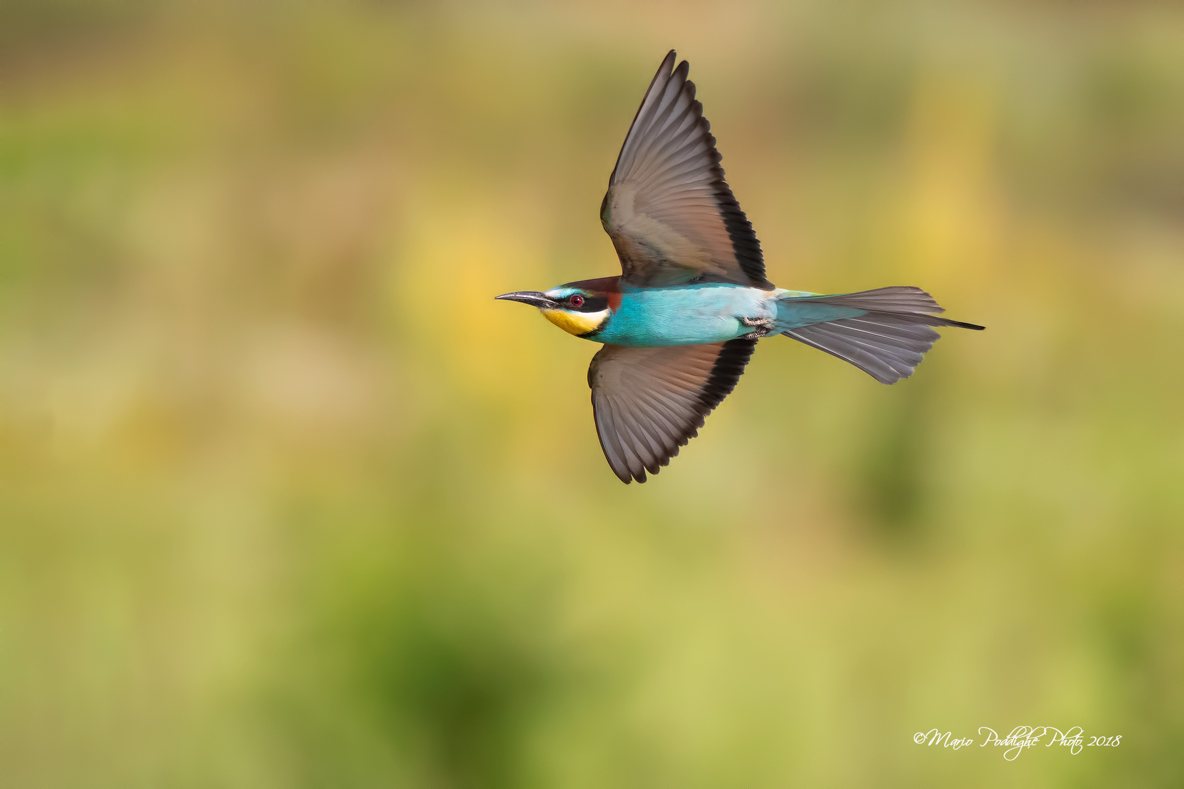 l' arcobaleno volante
