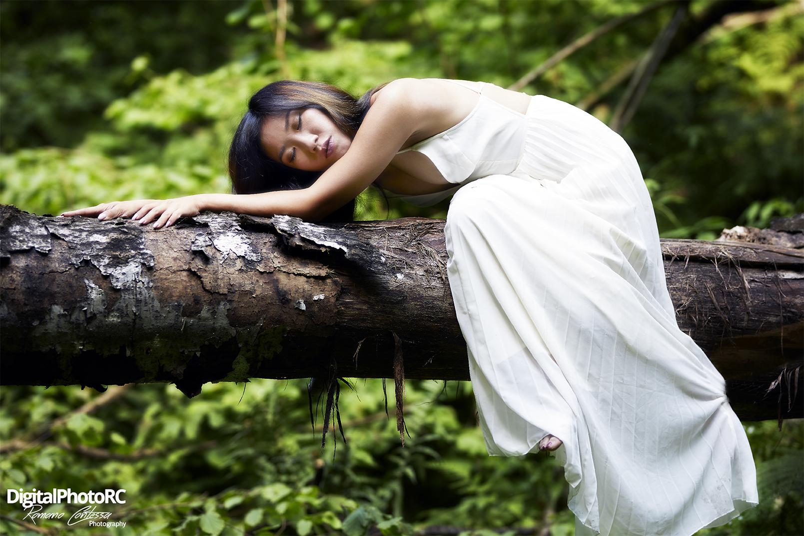 The Butterfly's Rest