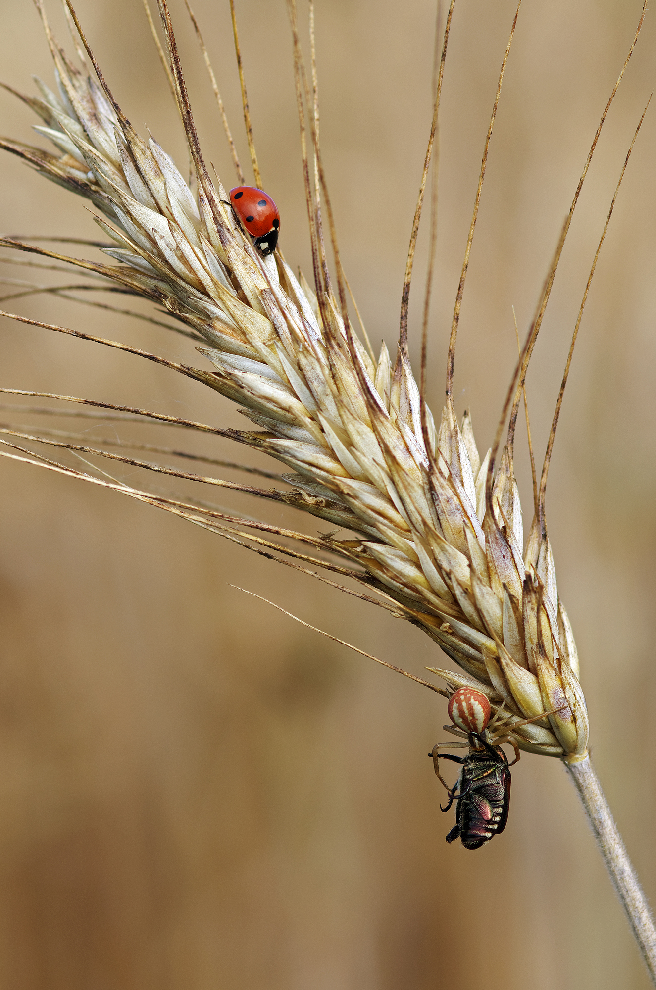 Storie di tutti i giorni