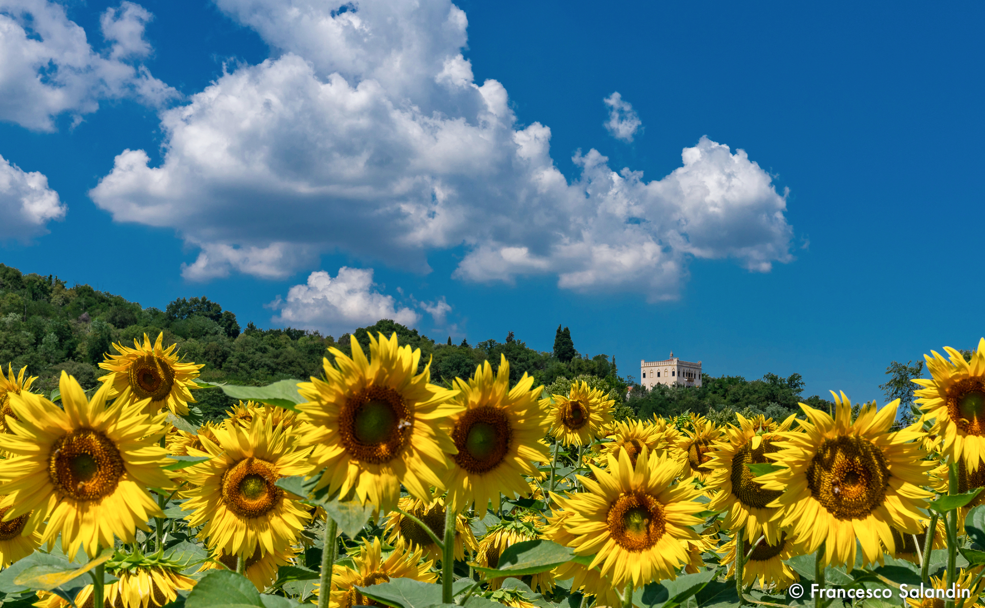 Villa Dragoni II Version