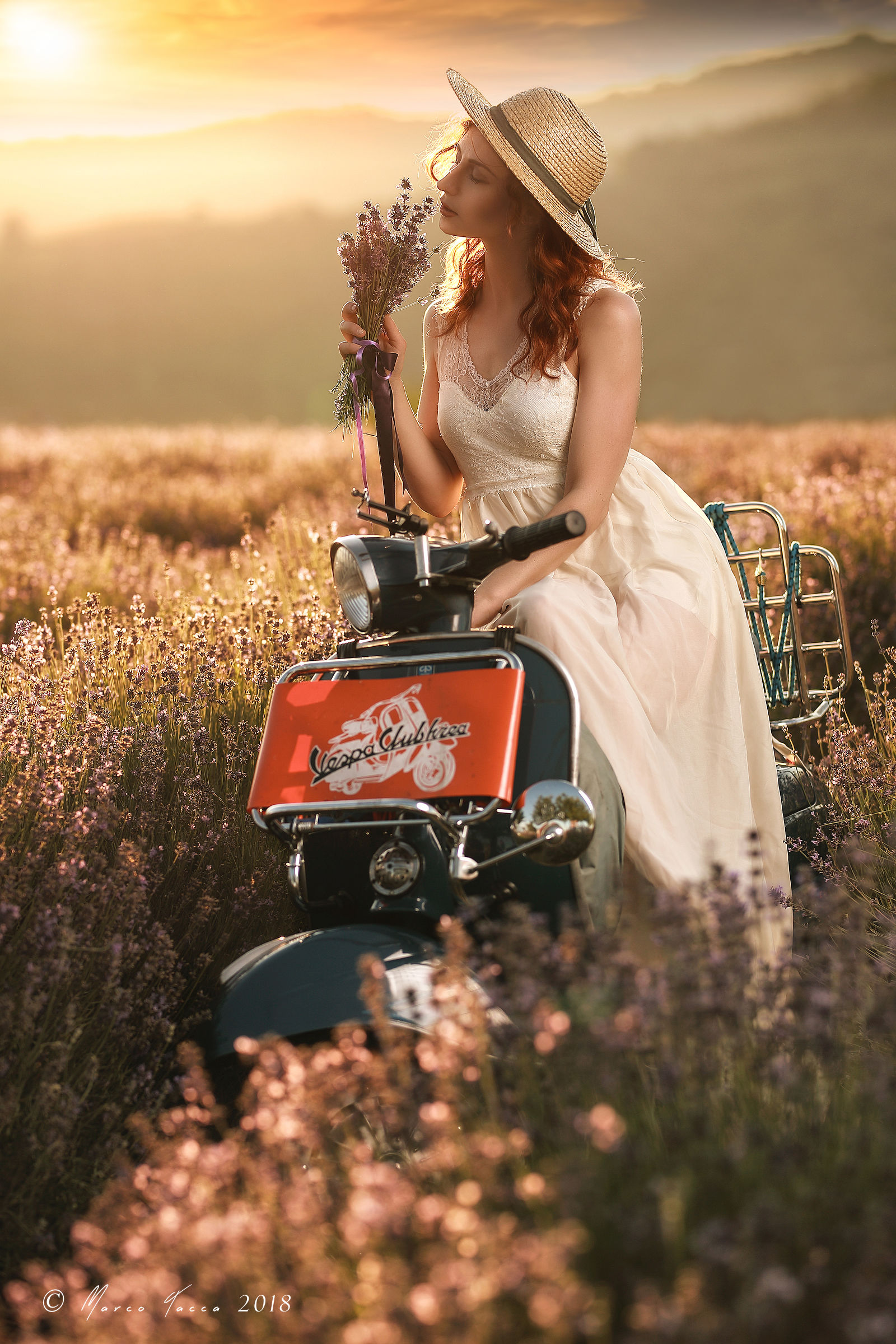 The Scent of lavender