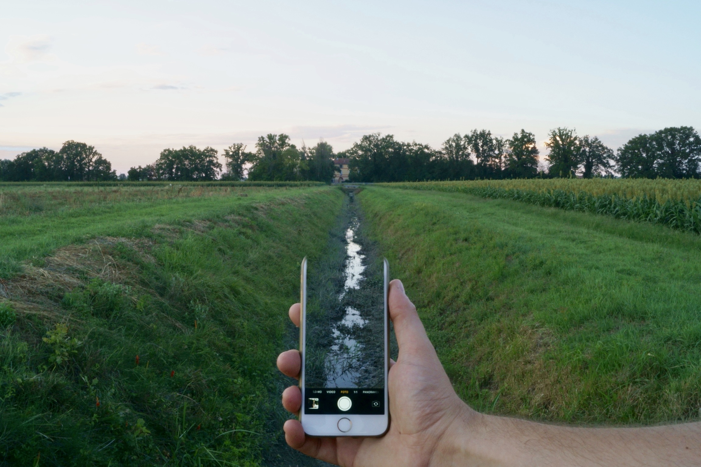 Social Ruin Everything