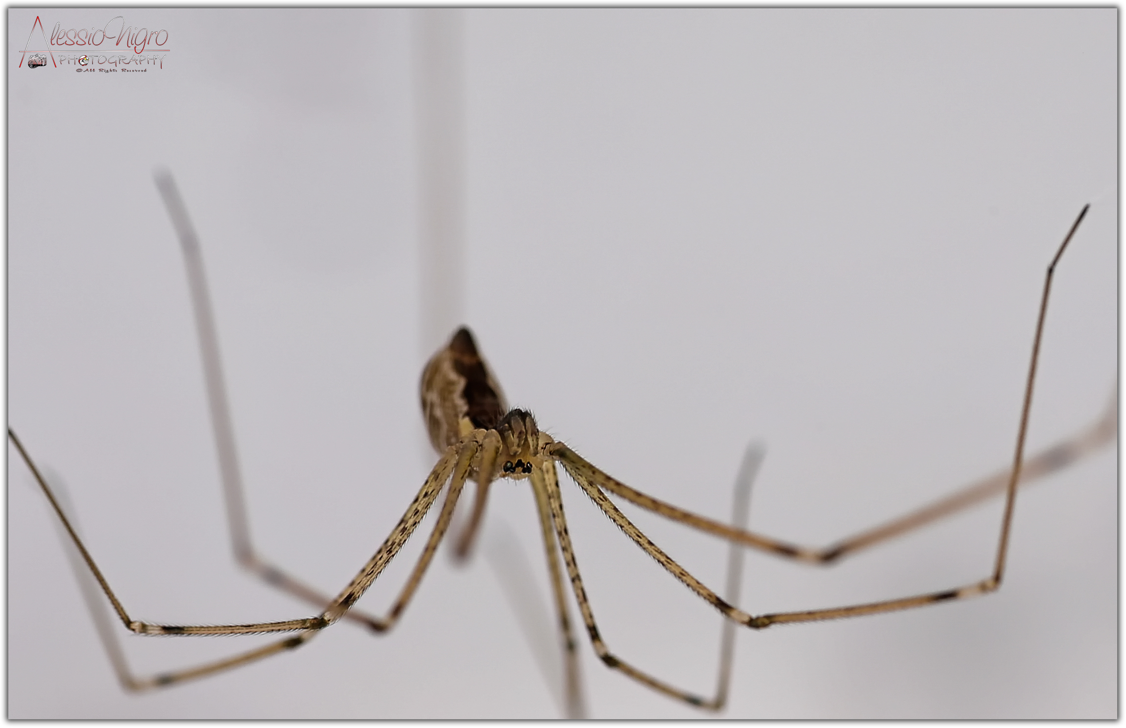 La mia prima "macro"