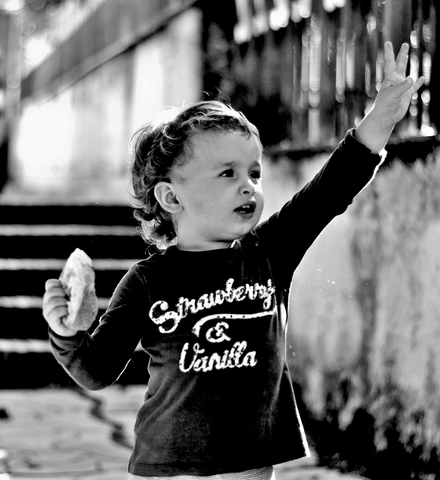 El Comandante en Jefe