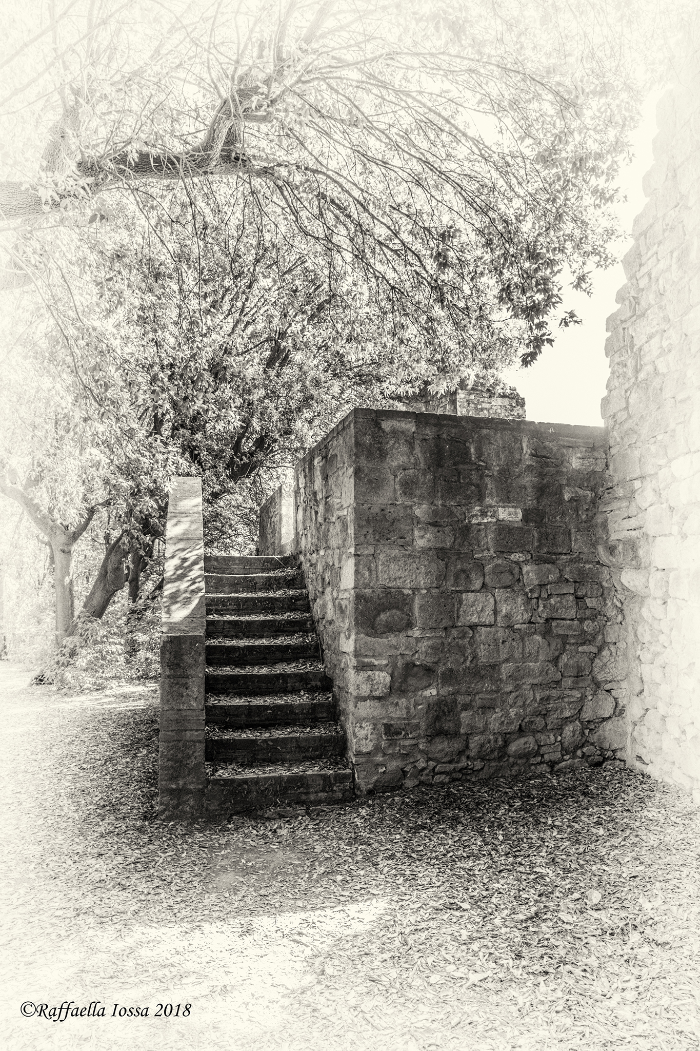 San Quirico d'Orcia , parco interno Horti Leonini