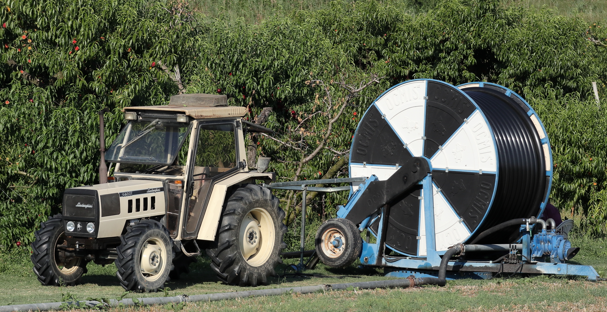 A spasso (in bici) con la M6.