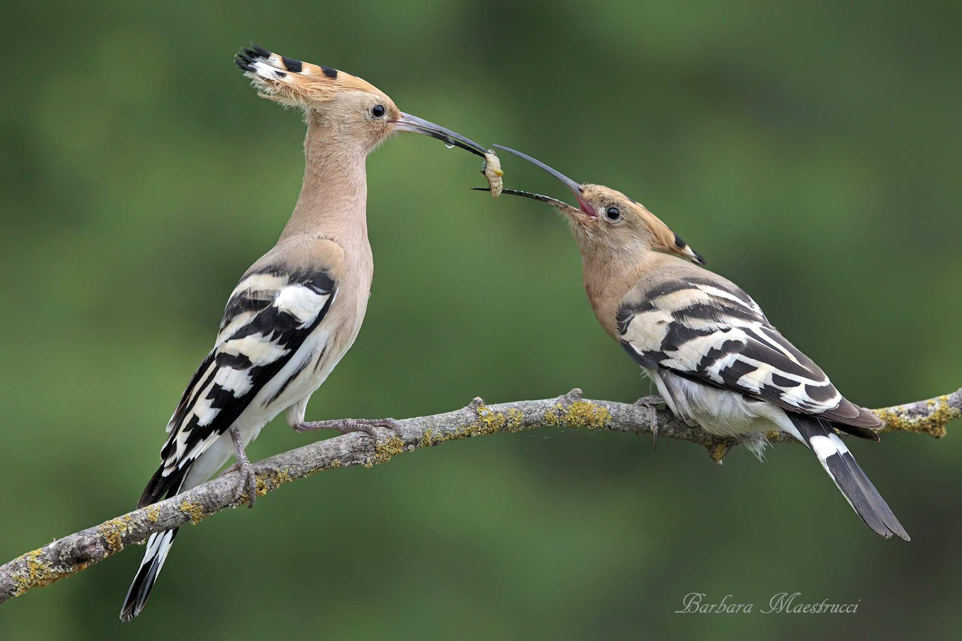 A thought for you...