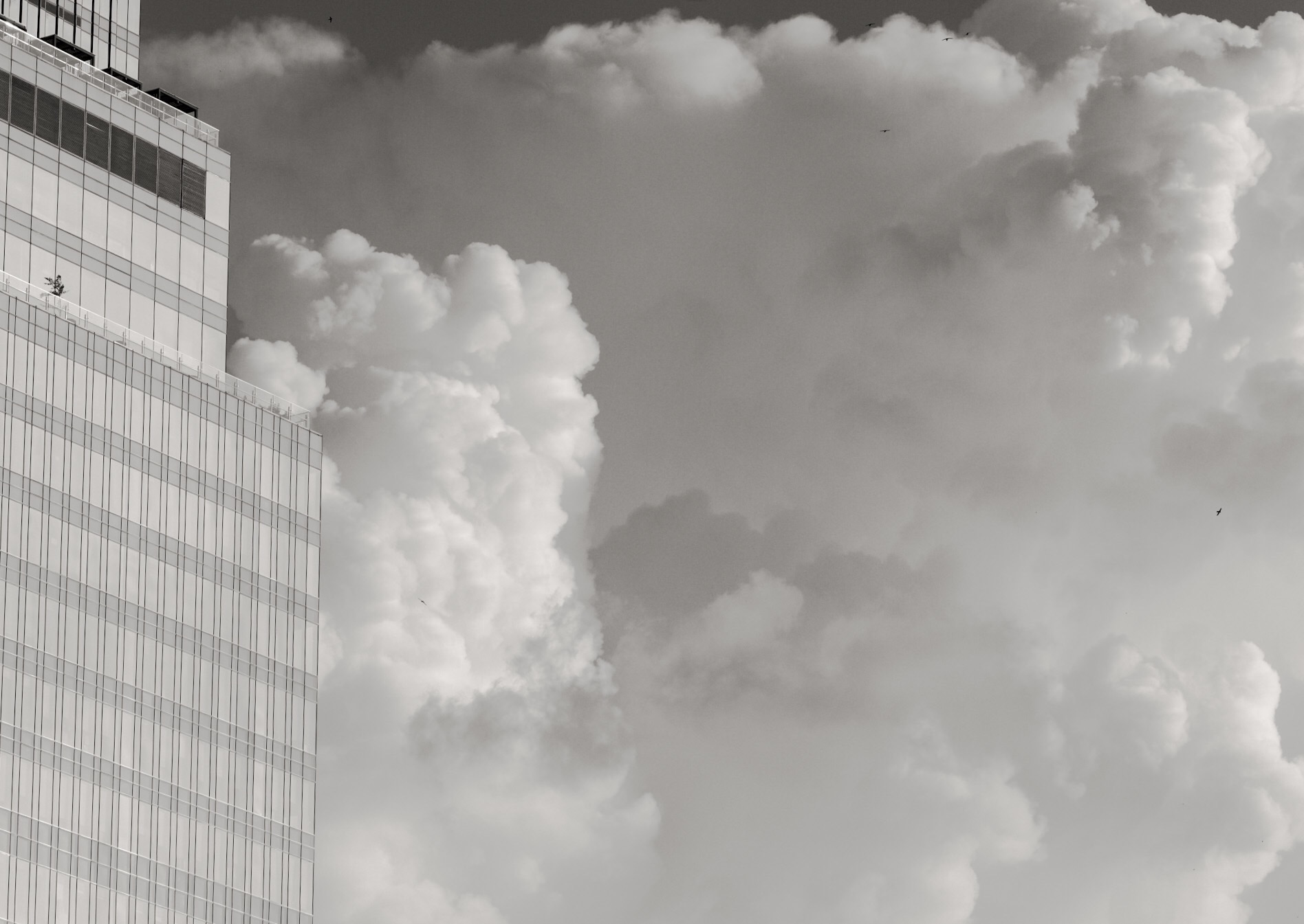 La stagione delle piogge incominciata è!