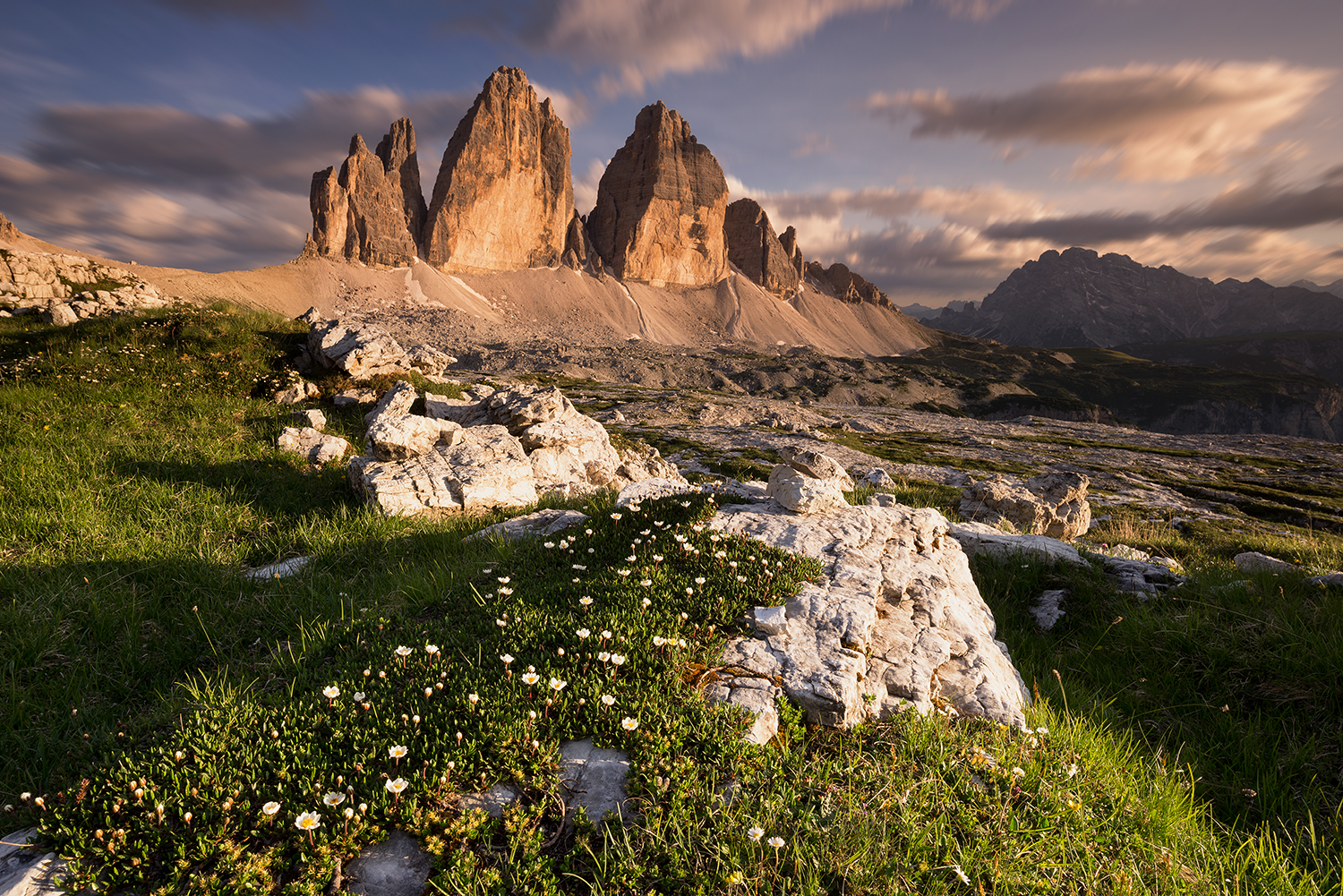 Where the flowers are born