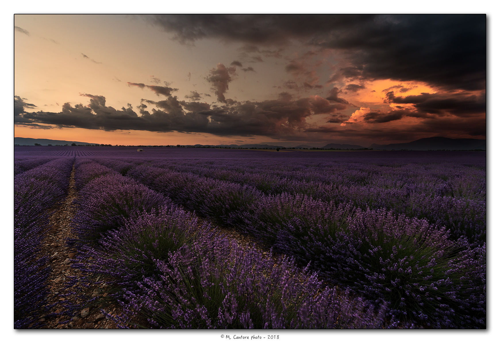 ... it's almost evening...