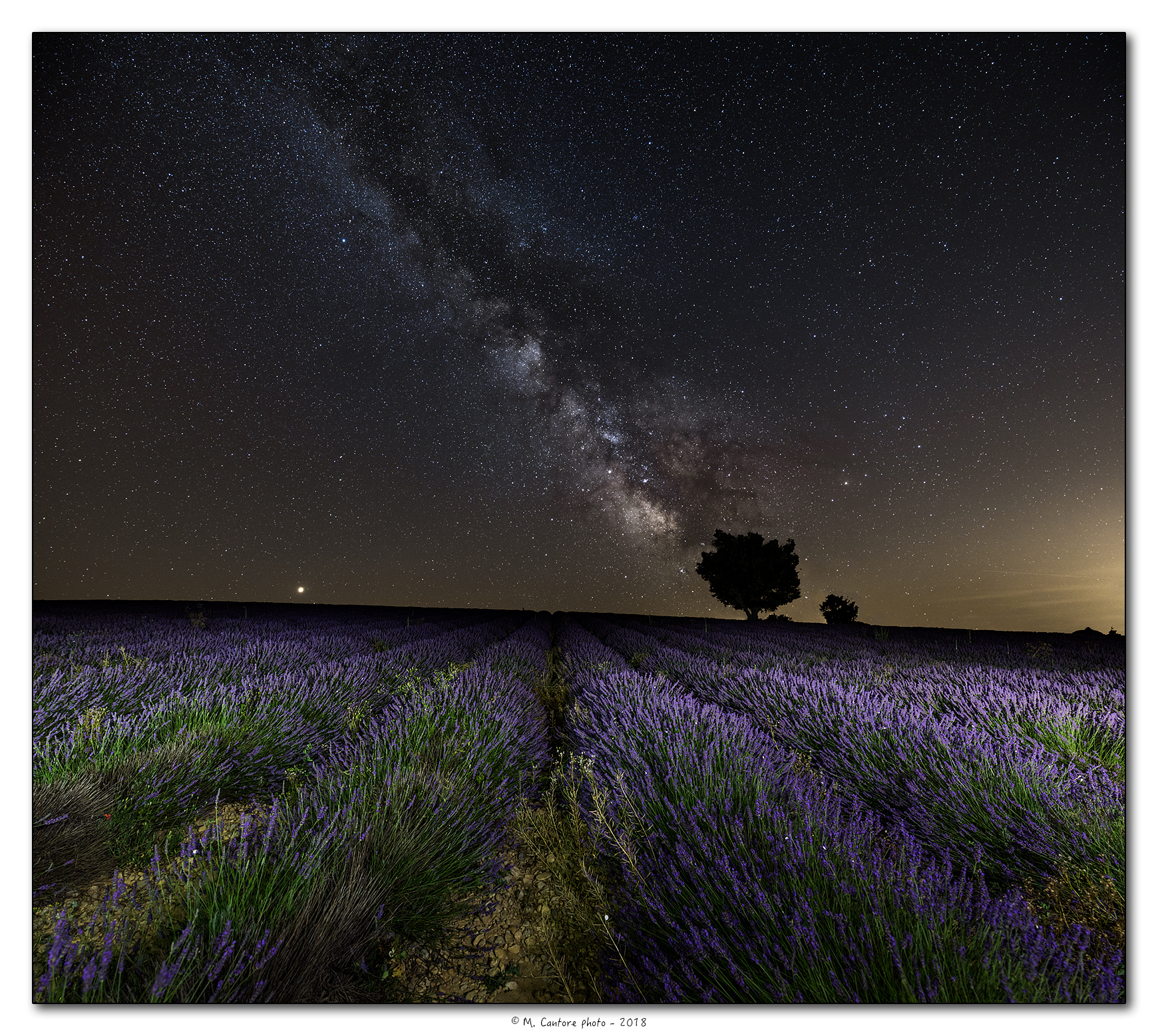 Milky Way and lavender