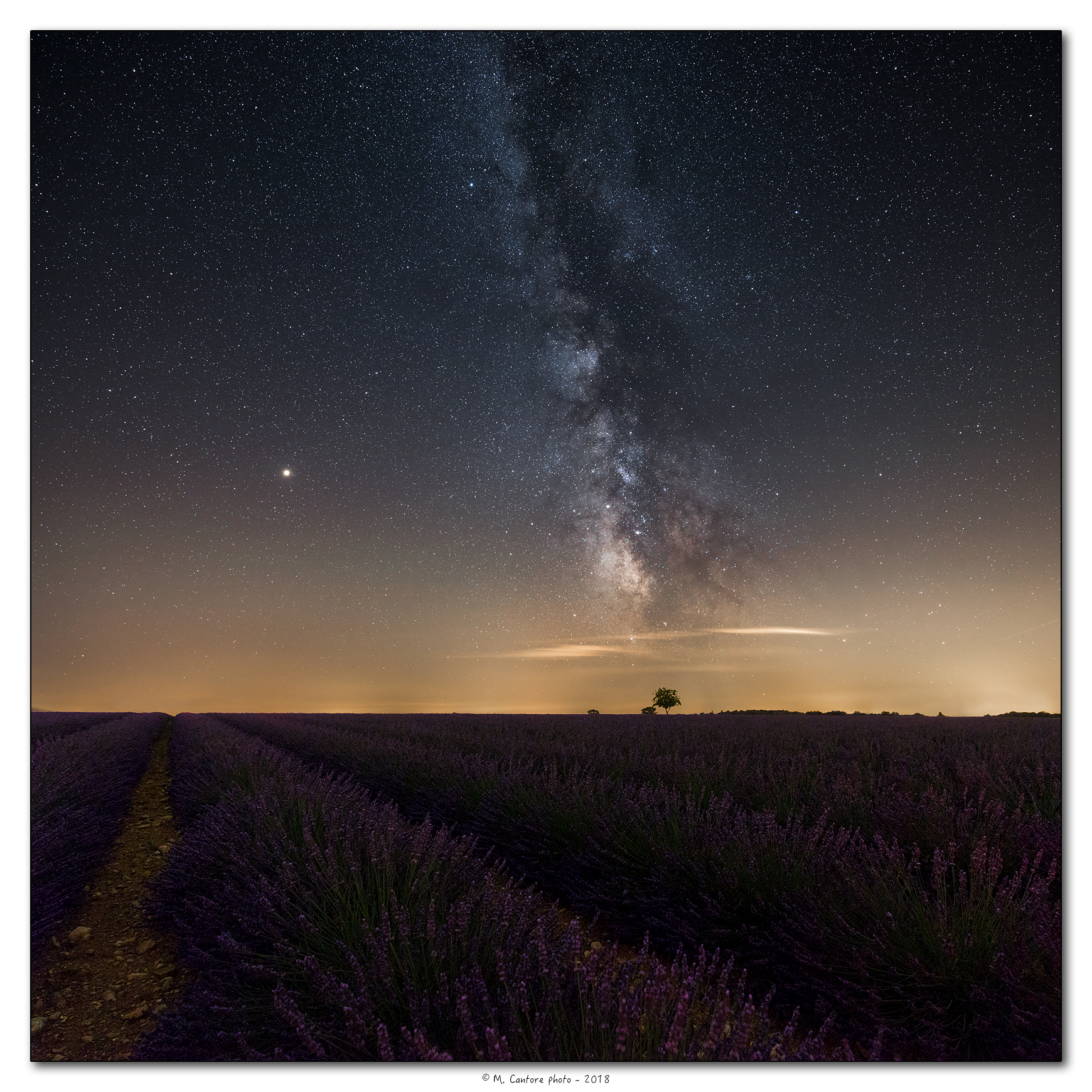 Milky Way and lavender