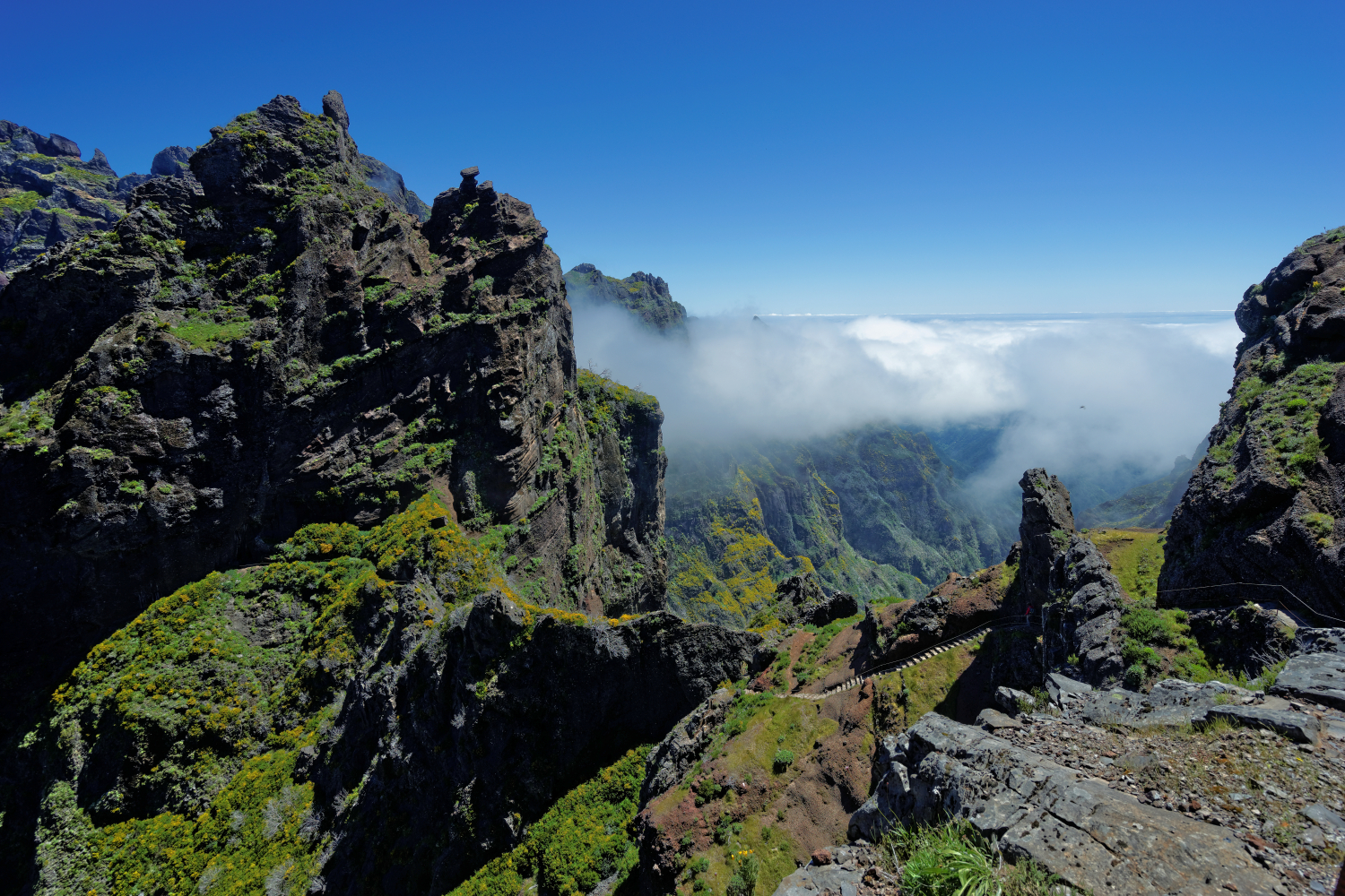 paesaggio  isola di madere