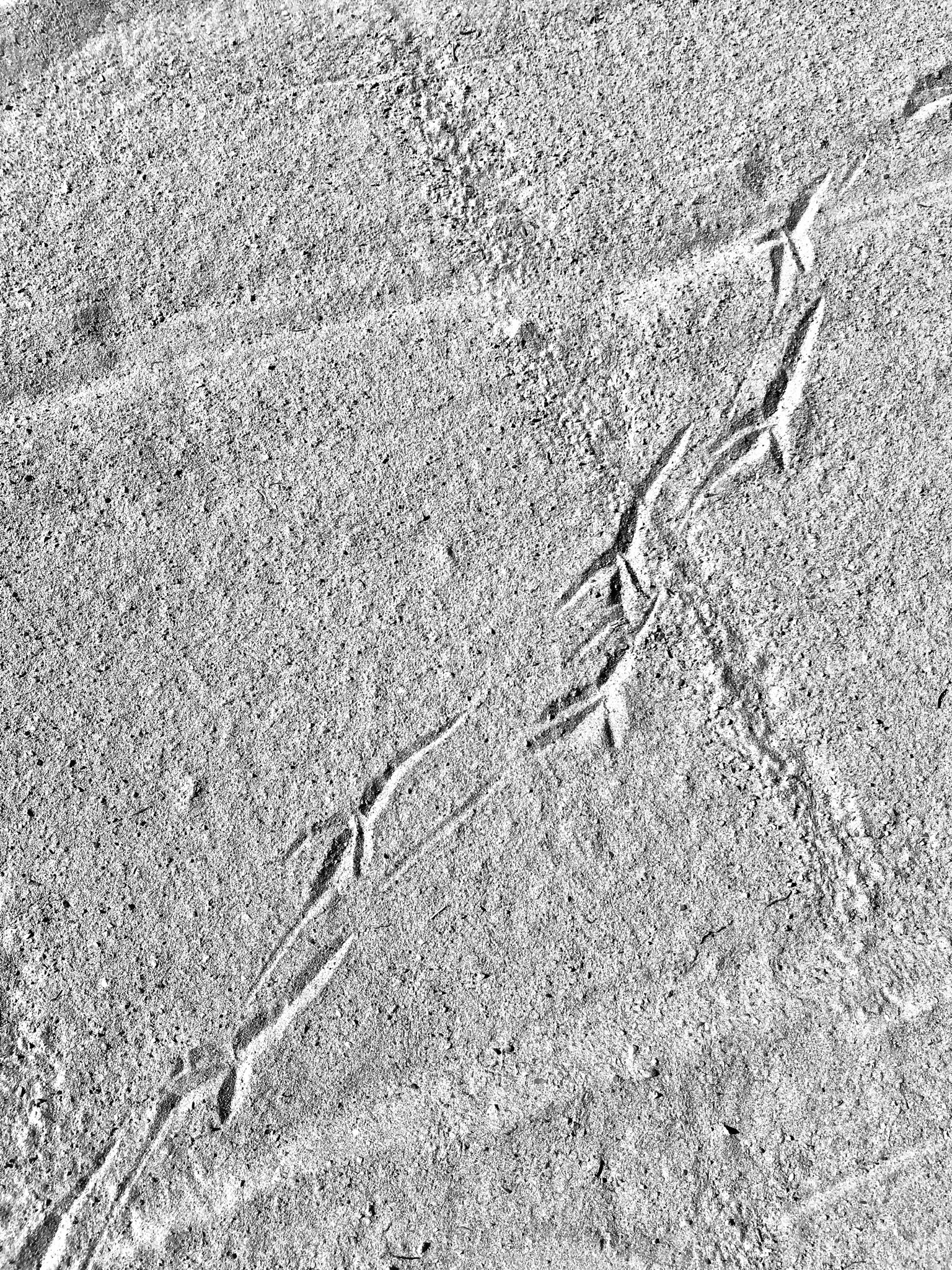 Where are you going?