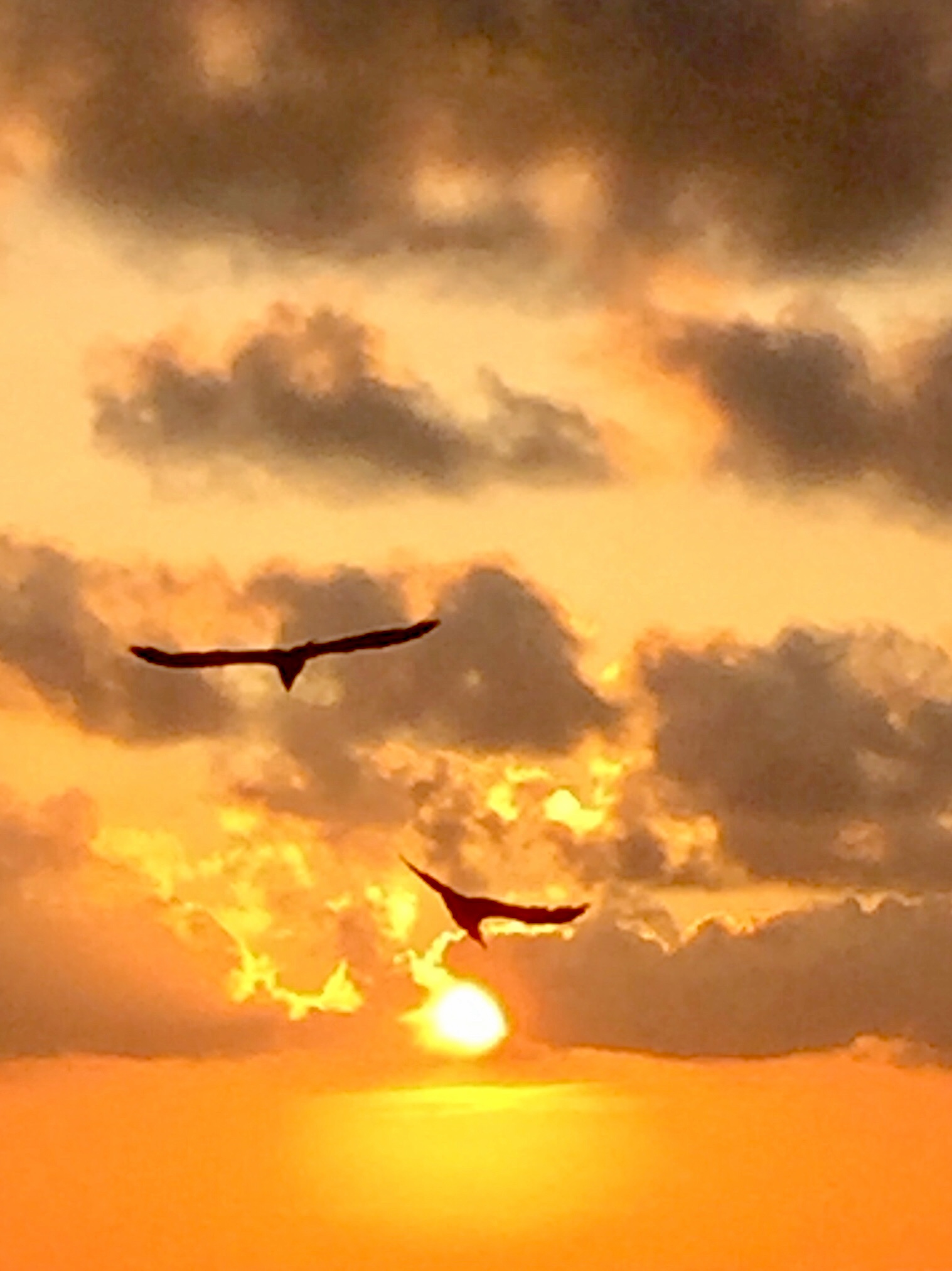 Tramonto a terrasini