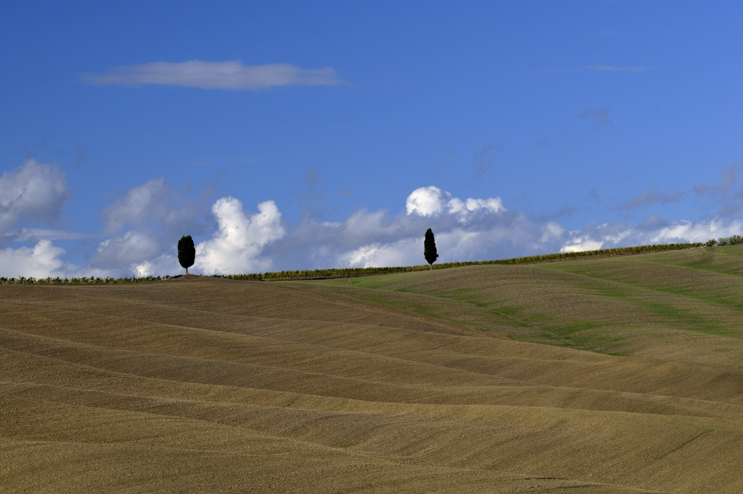 La Val D'orcia 2