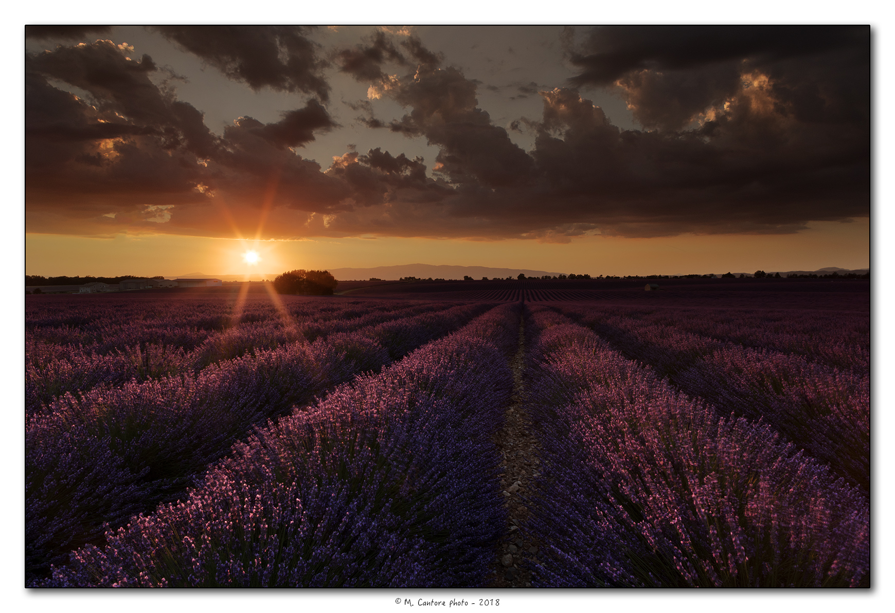 The curtain falls on the two days in Valensole...